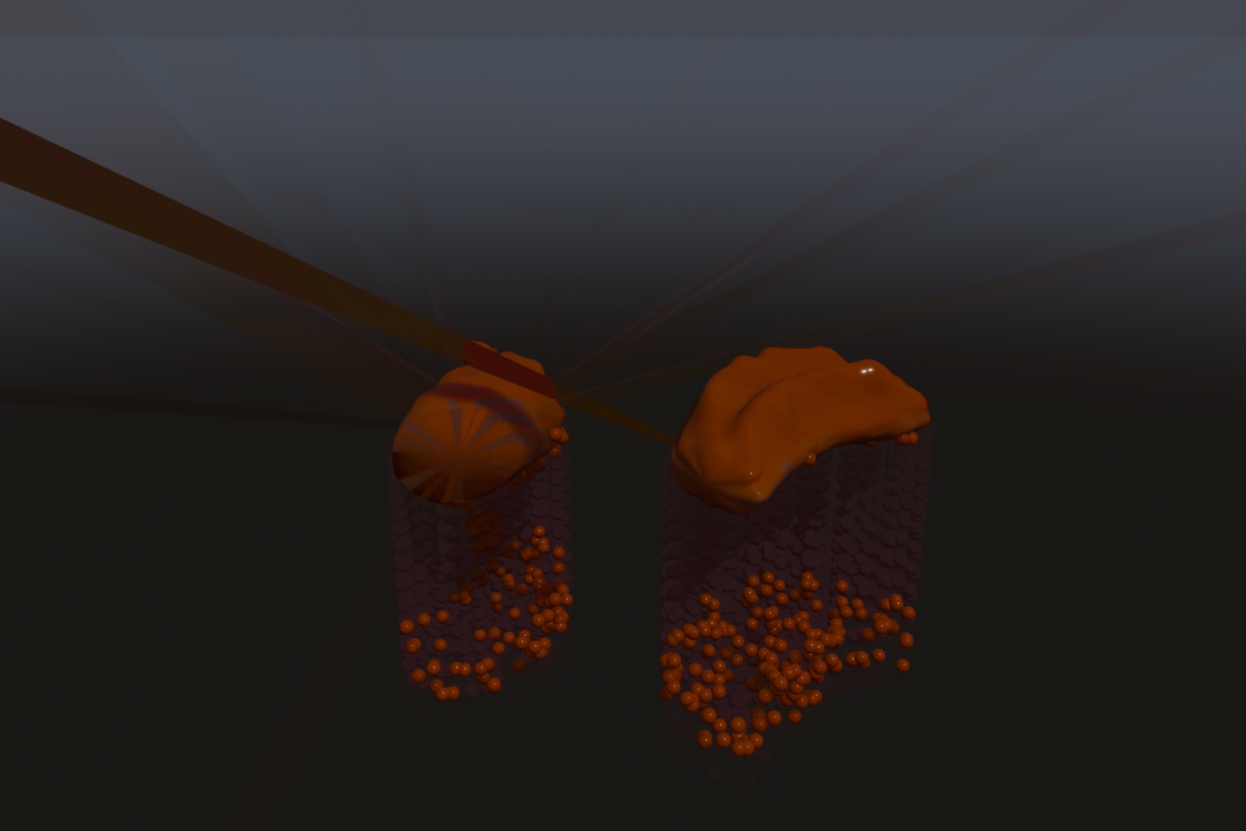 Visualizer · buffaloWing