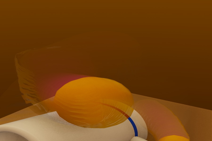 Visualizer · beerstein