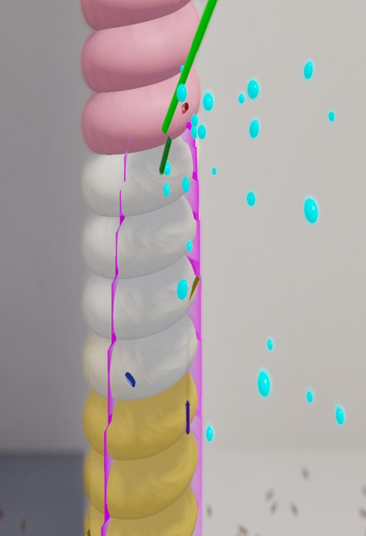 Visualizer · dbgjit