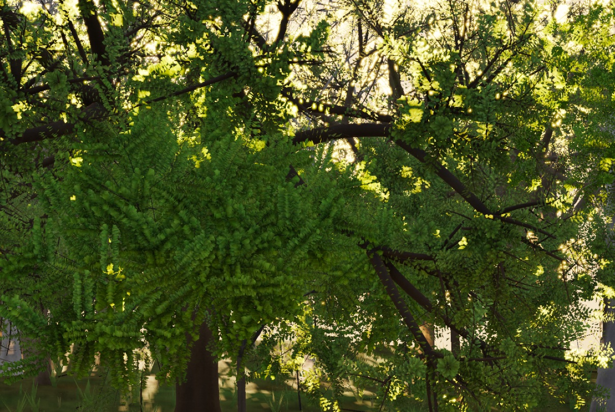 Visualizer · canopy