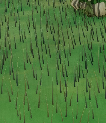 Visualizer · forest-crops4