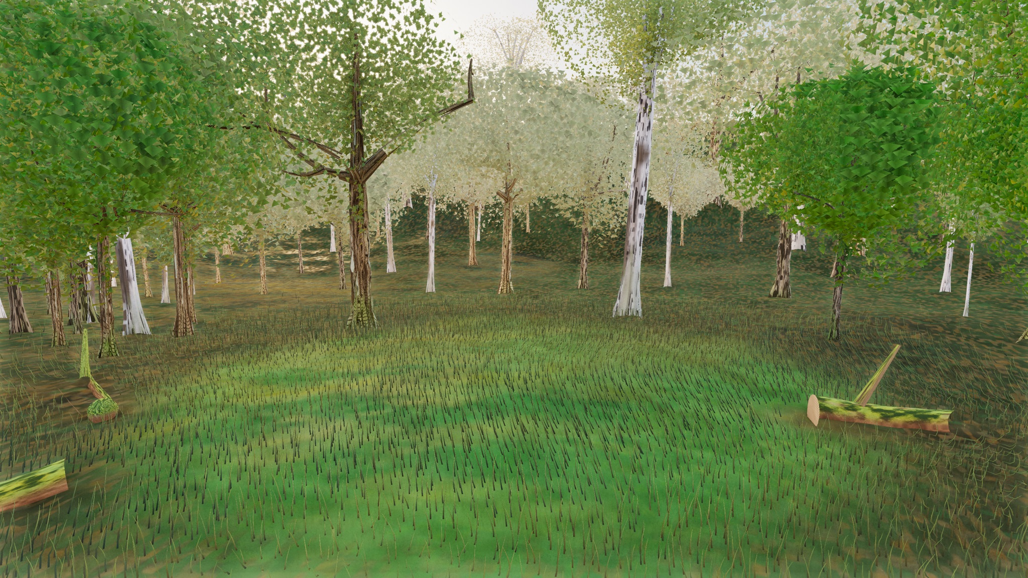 Visualizer · forest