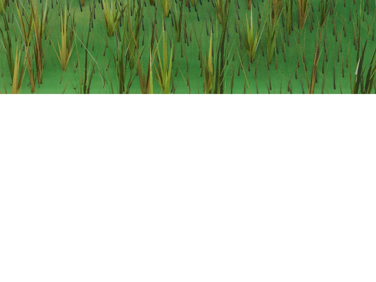 Visualizer · forest
