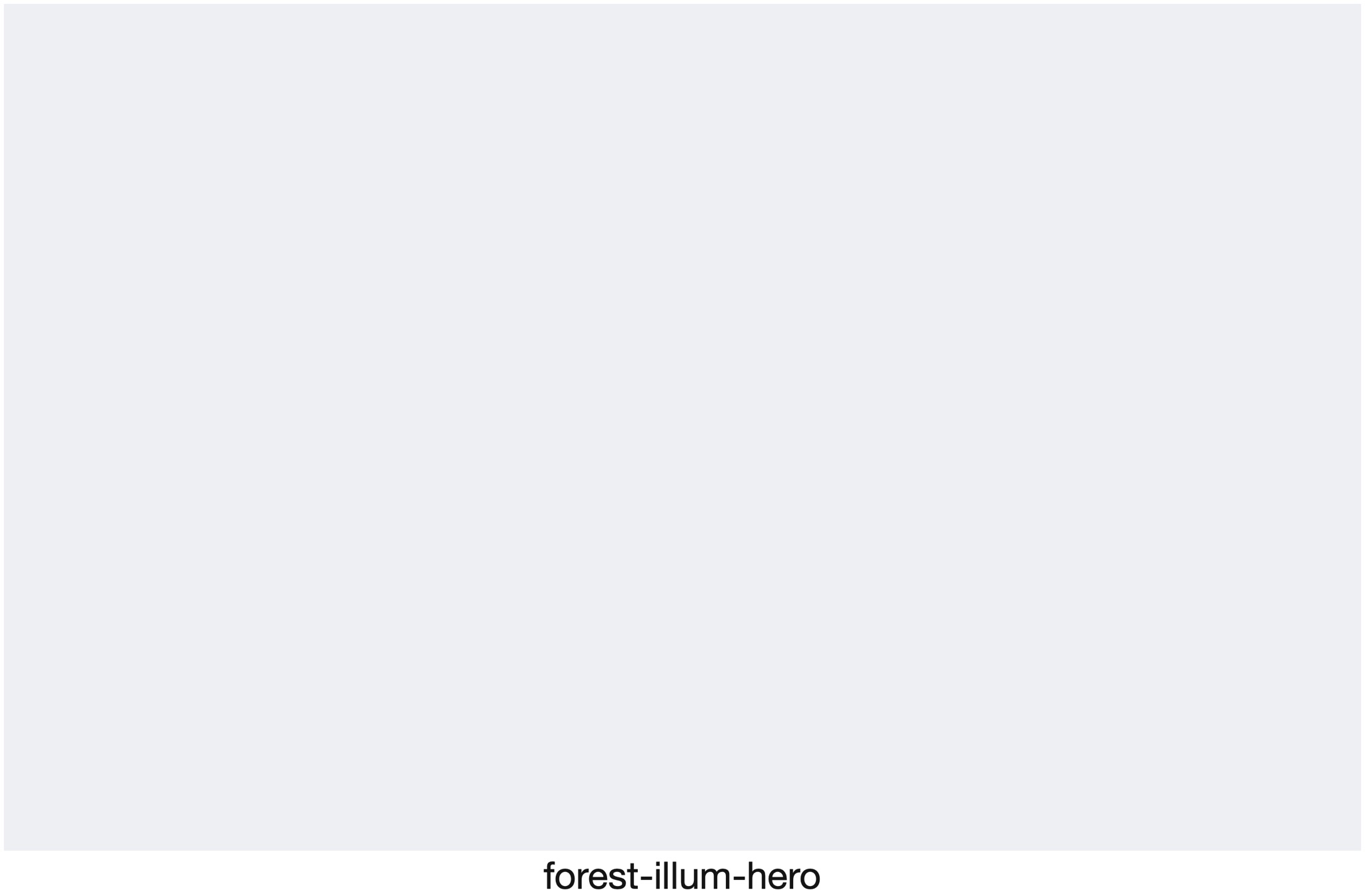 Visualizer · forest