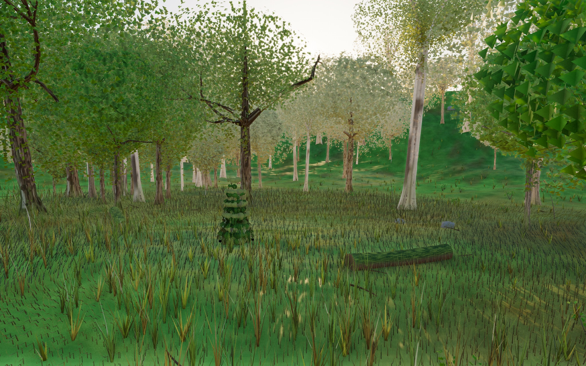 Visualizer · forest-low — round3c: central-sightline h