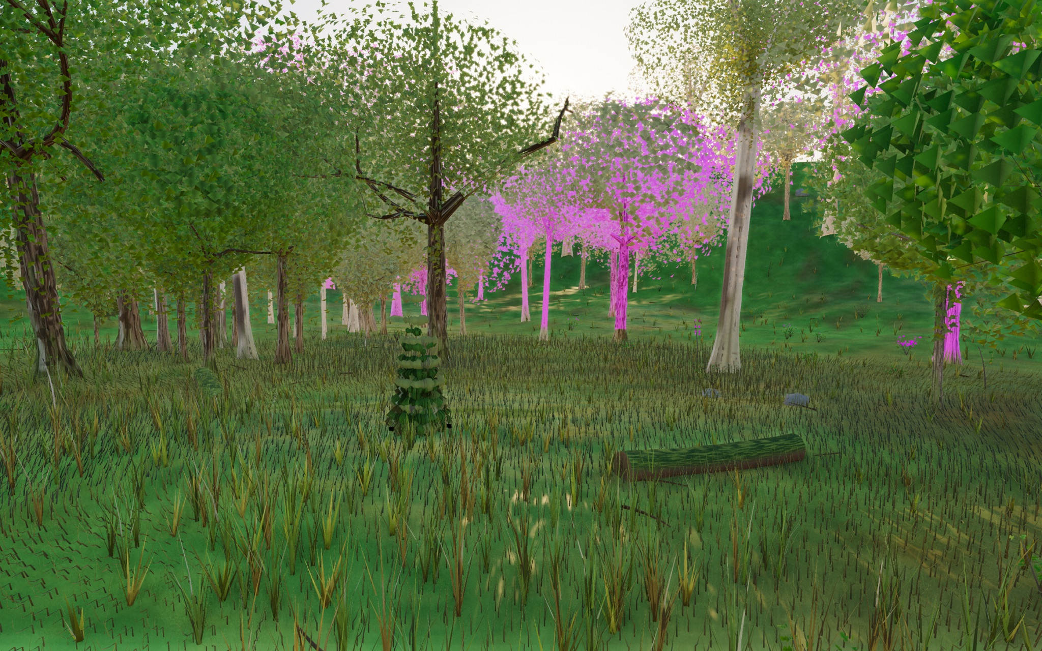 Visualizer · forest-low — diag5: paint z in (-26,-16)