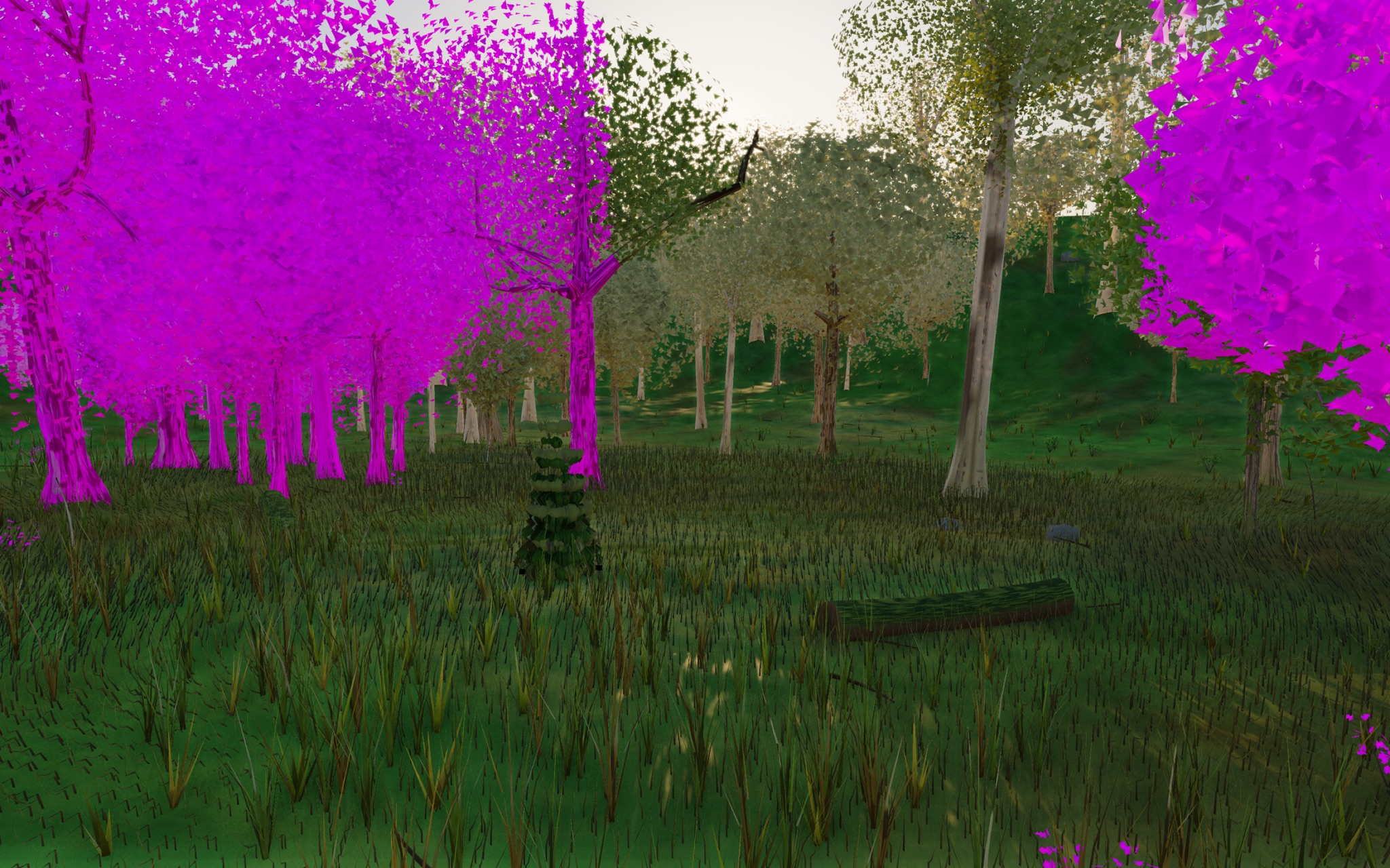 Visualizer · forest-low — diag6: paint ALL z>-8 tree mass