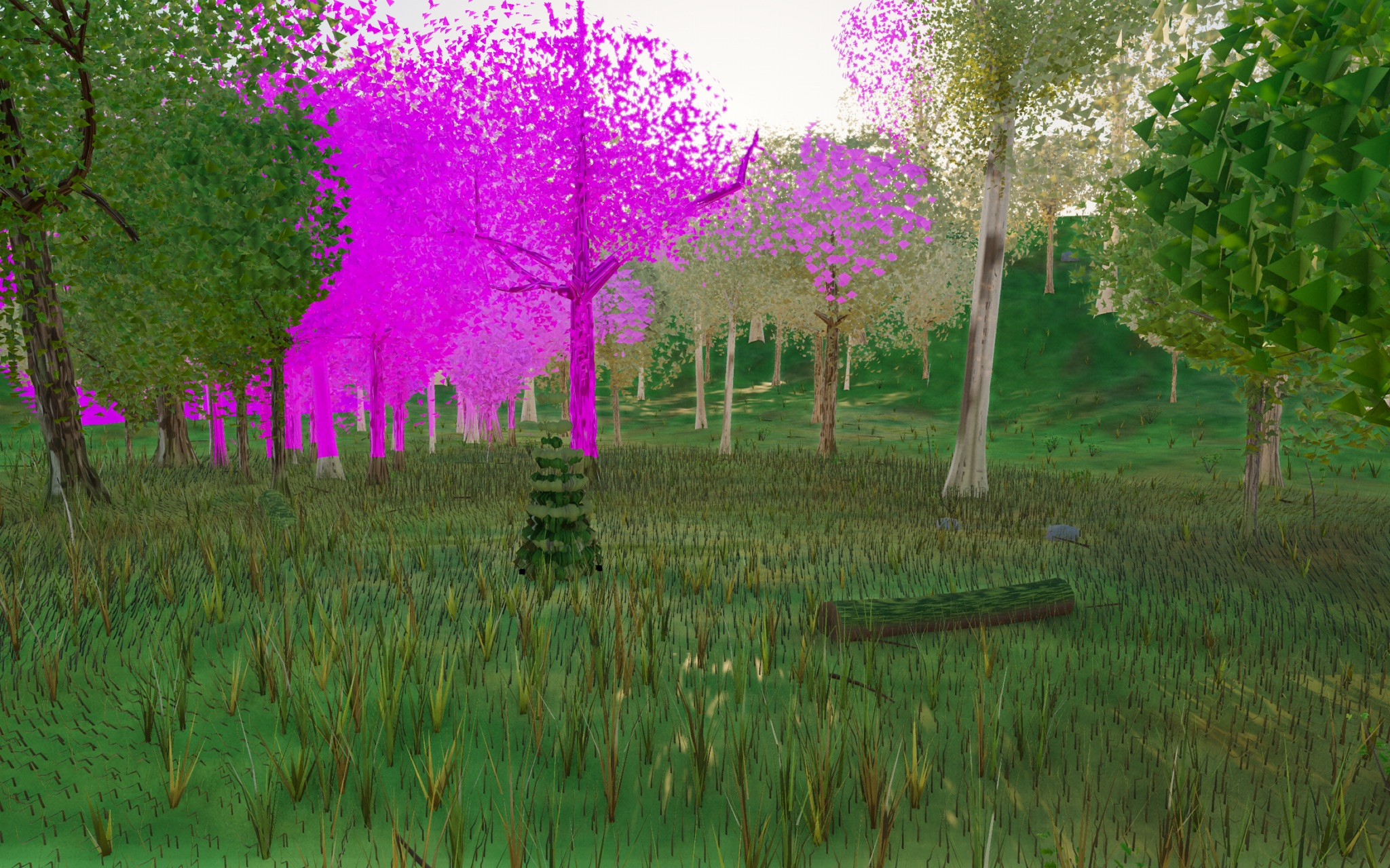 Visualizer · forest-low — diag8: paint mx