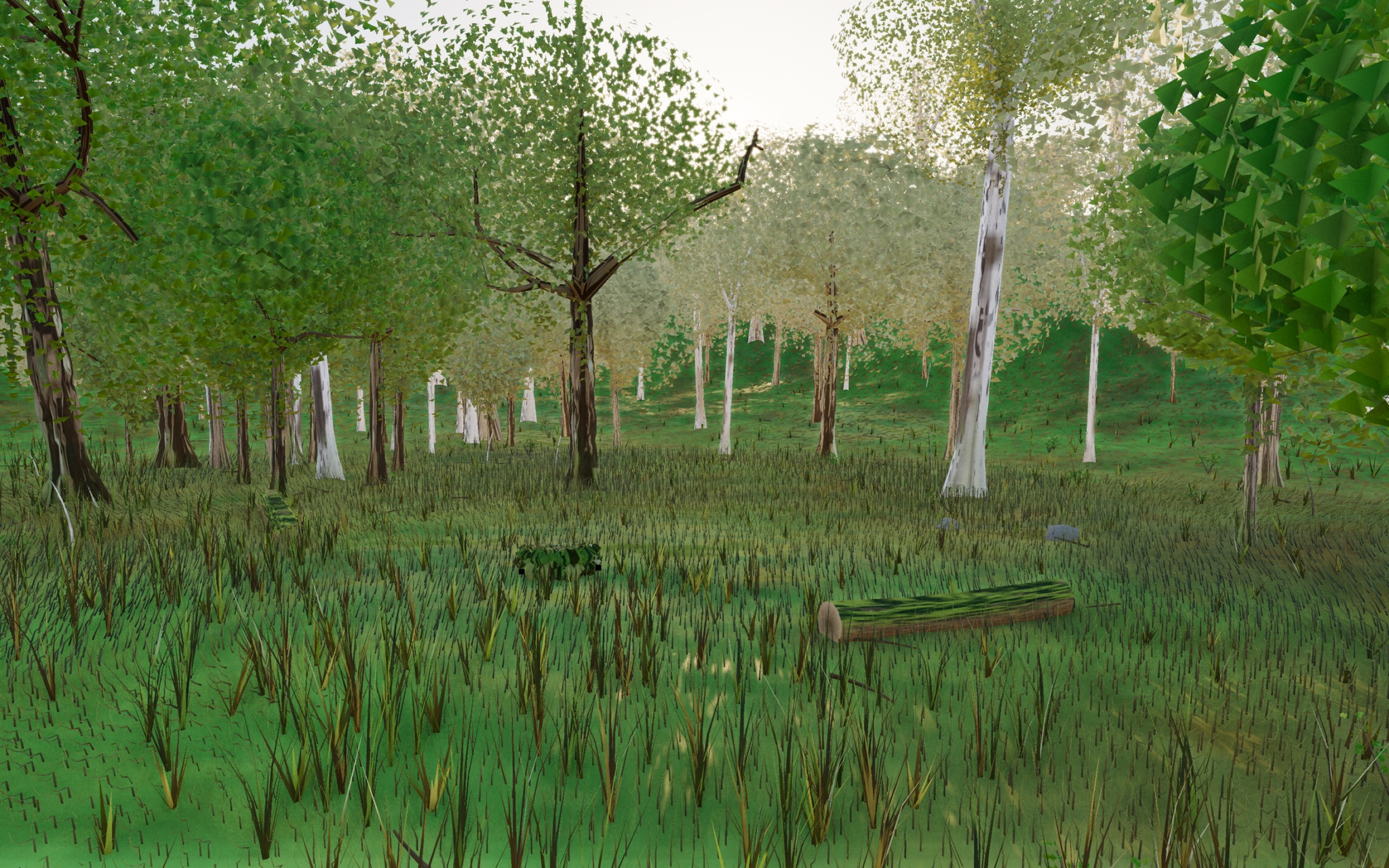 Visualizer · forest-low — r3 tex v3: exposure split – sun 1.62->1.42 (curb front bleach) + ambient +18% (lift backlit shade)
