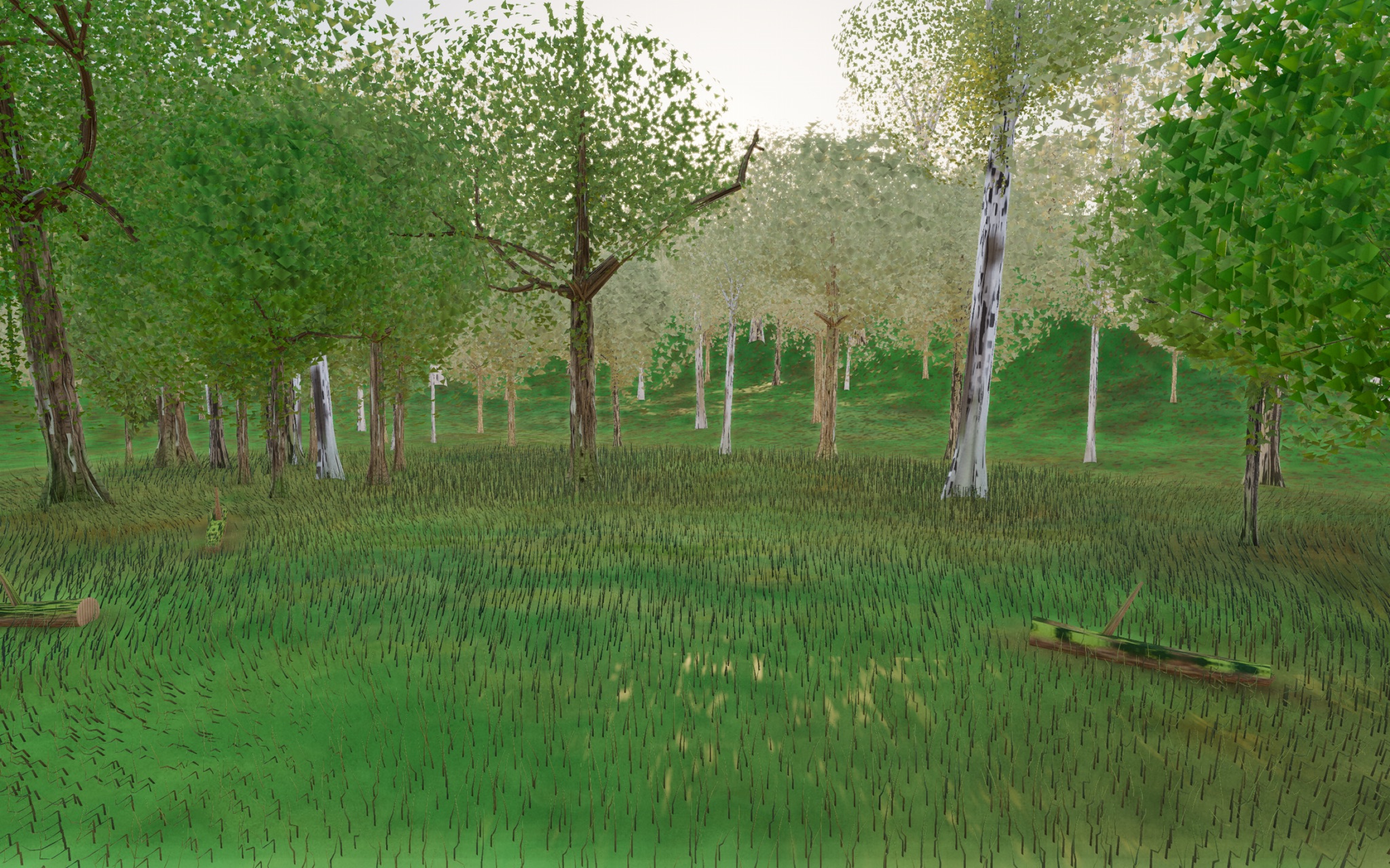 Visualizer · forest-low