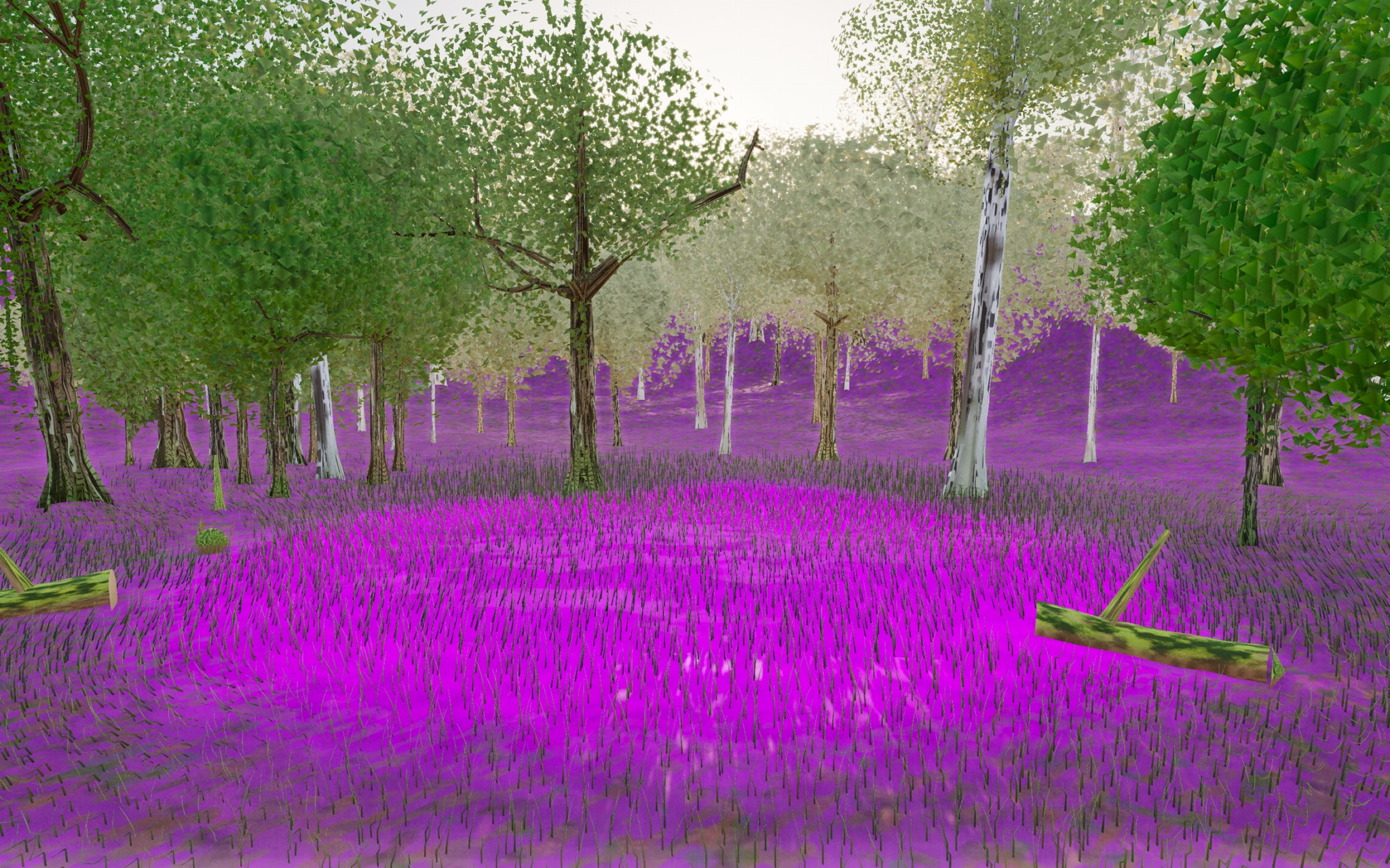 Visualizer · forest-low