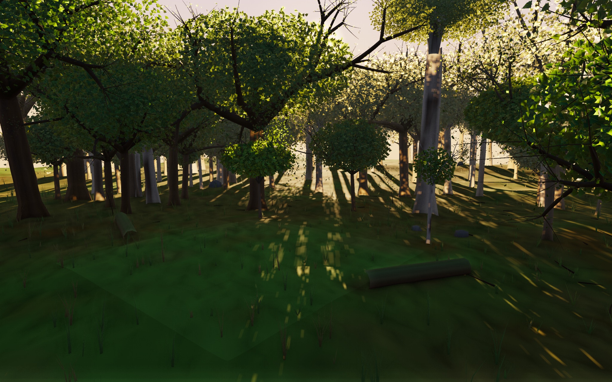 Visualizer · forest-low