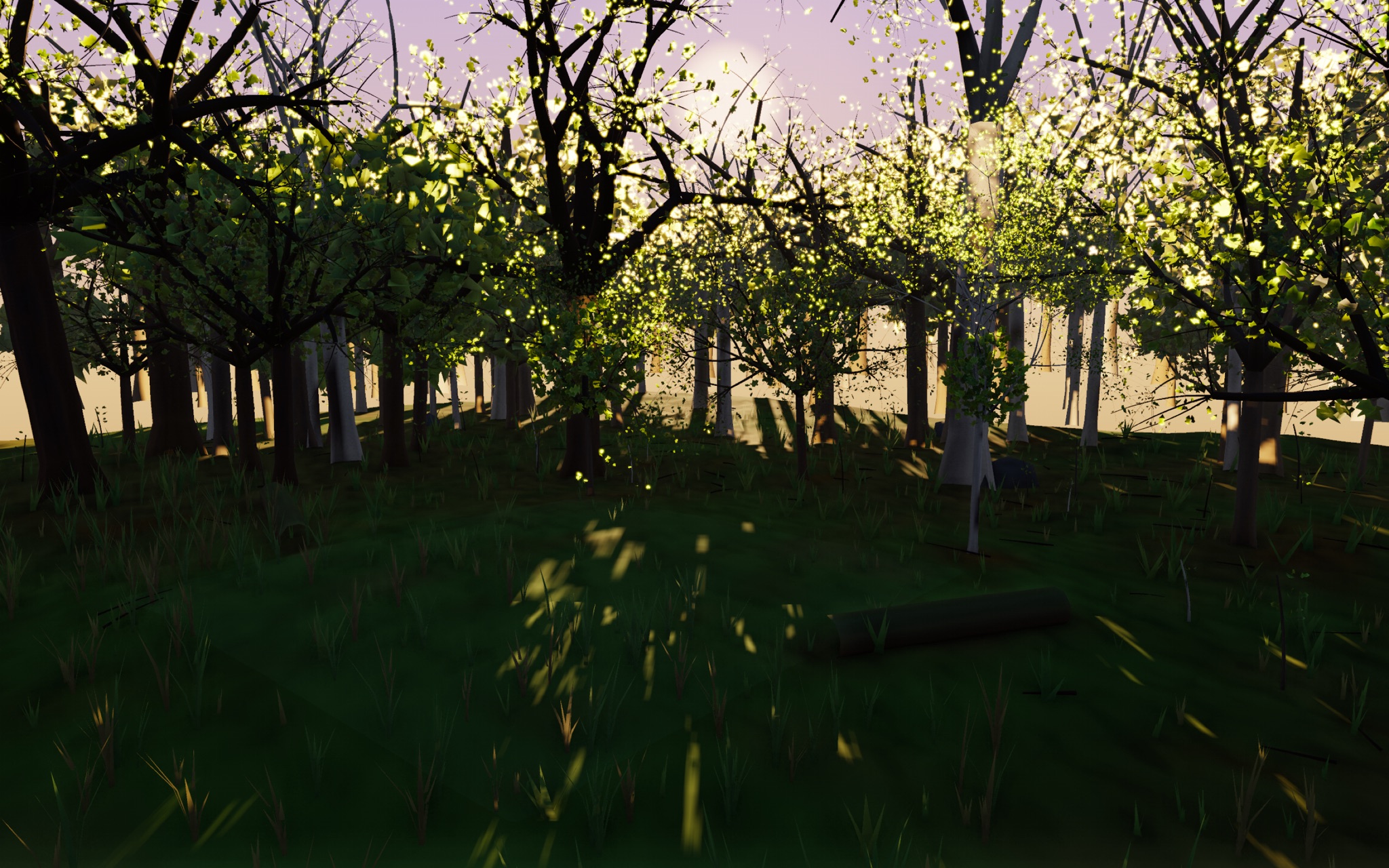 Visualizer · forest-low