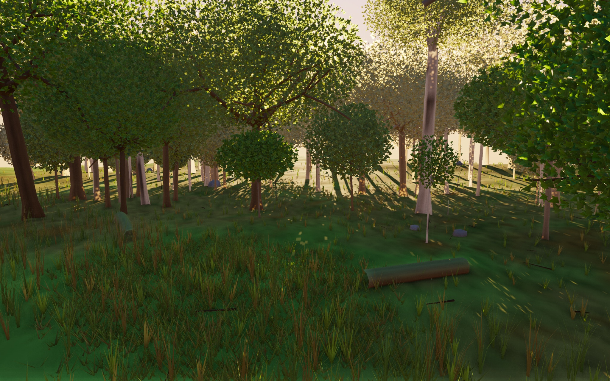 Visualizer · forest-low — trunk-diameter variation: height-correlated slenderness slope (~2x tier spread) + dominance + per-tree vigor; cap age radius pull