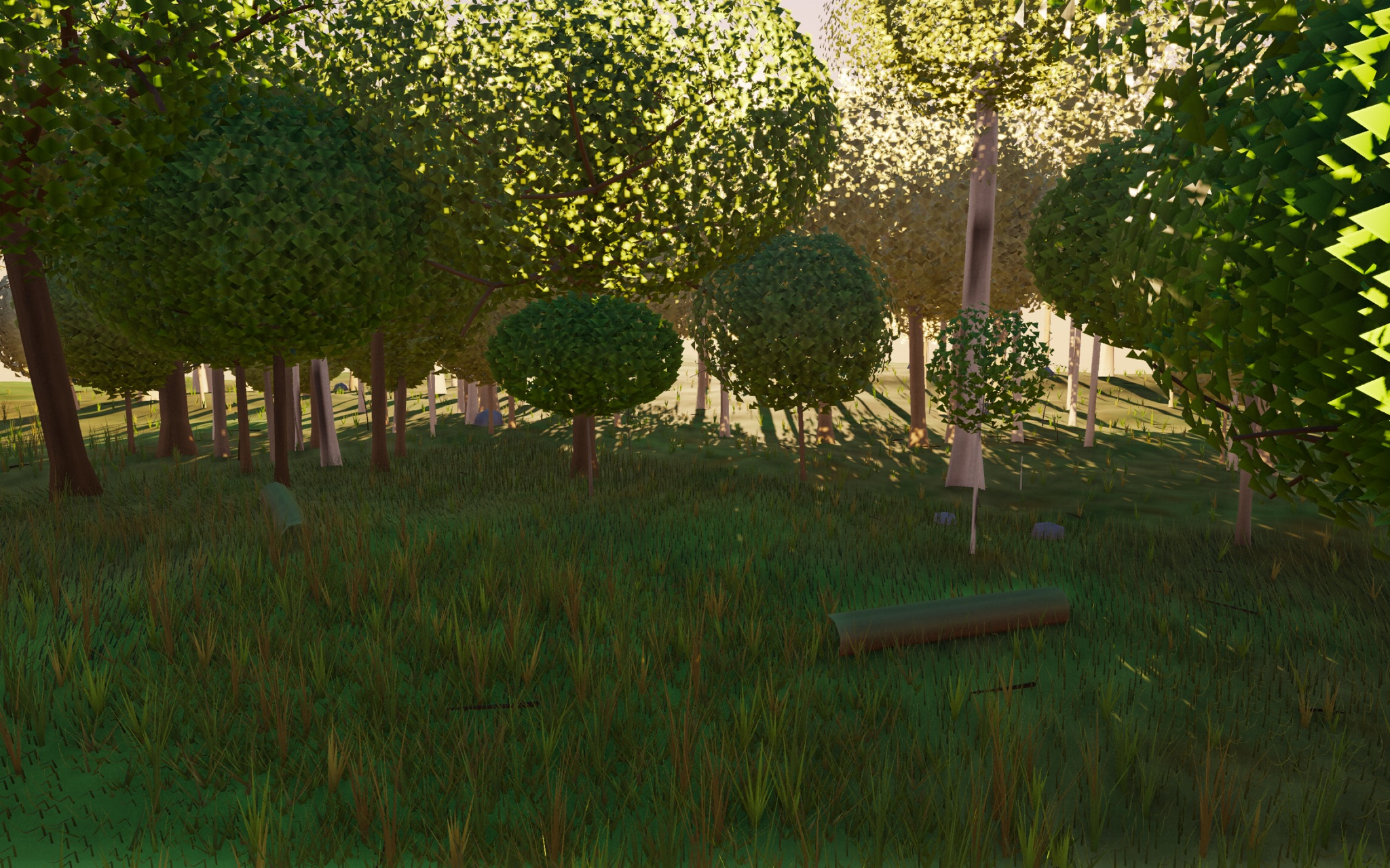 Visualizer · forest-low