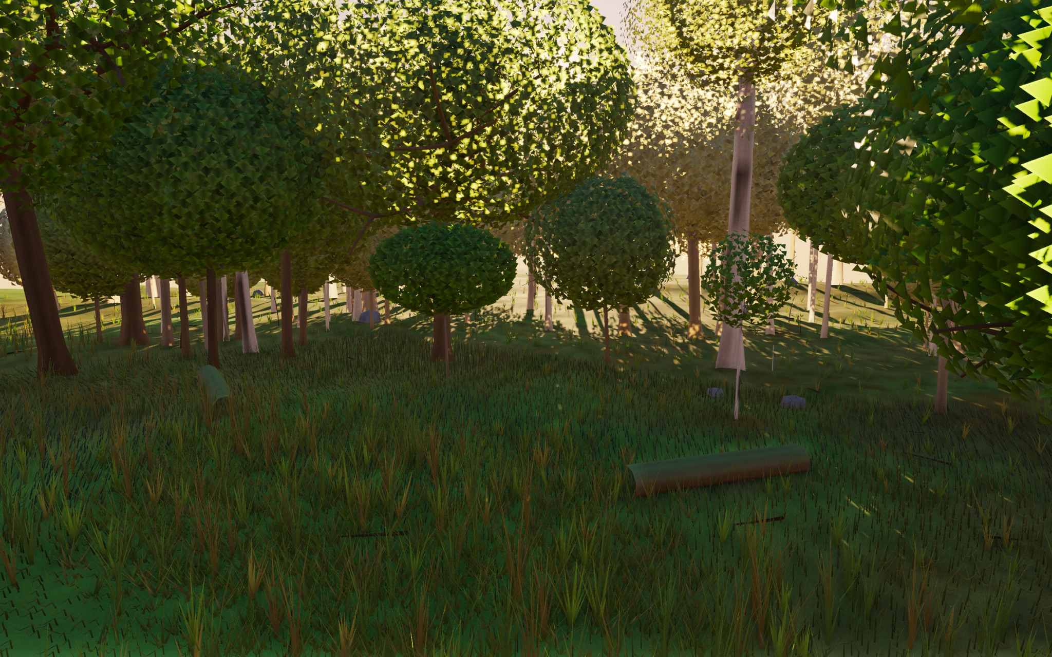 Visualizer · forest-low