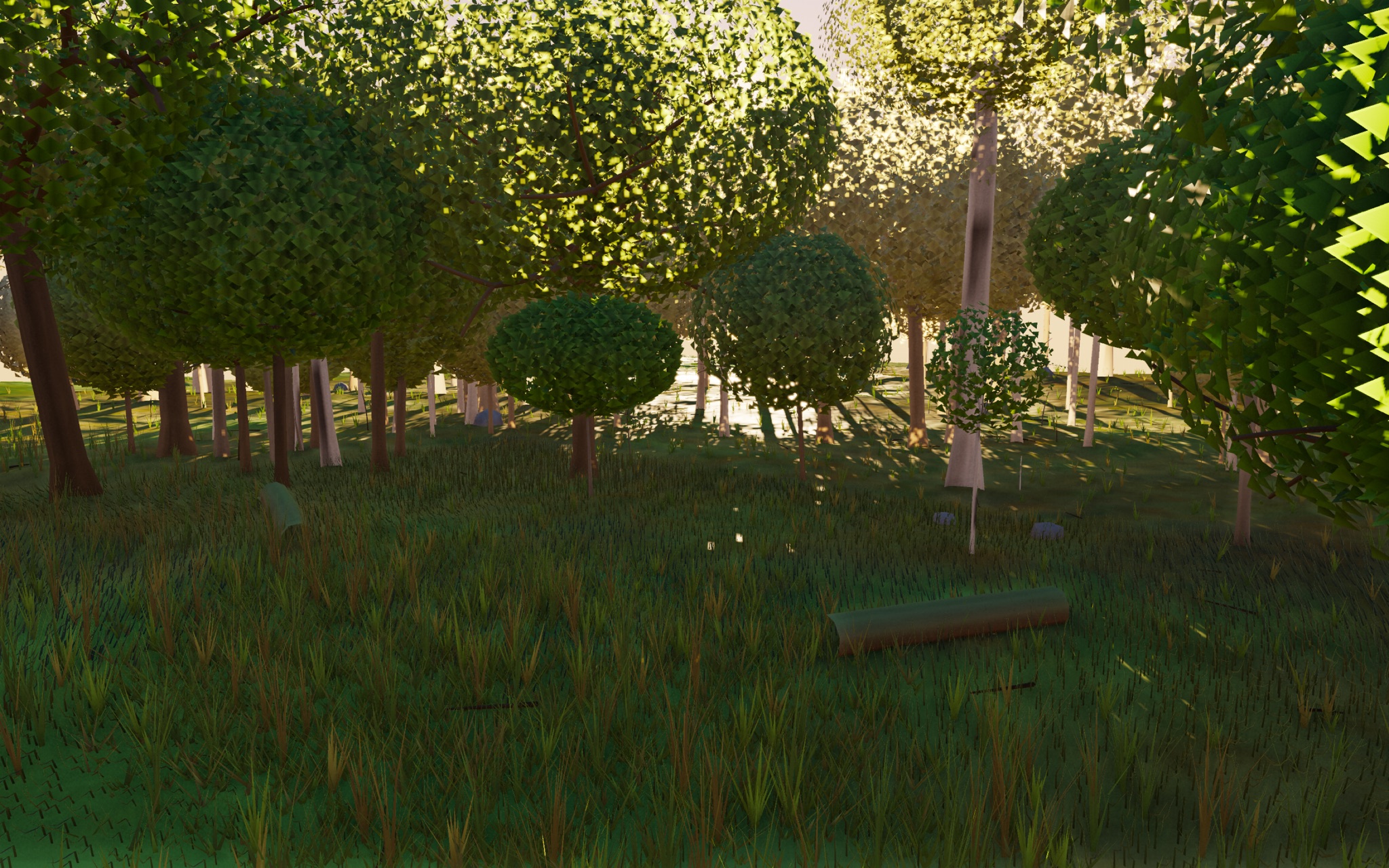Visualizer · forest-low