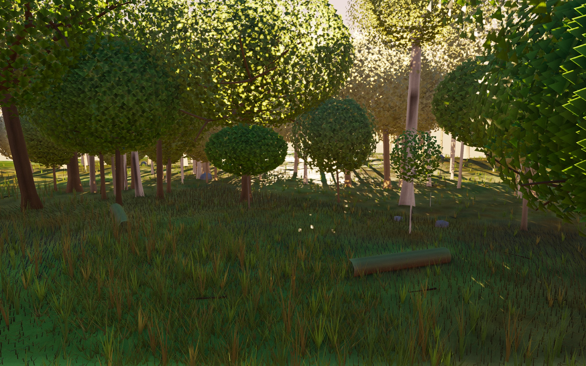Visualizer · forest-low