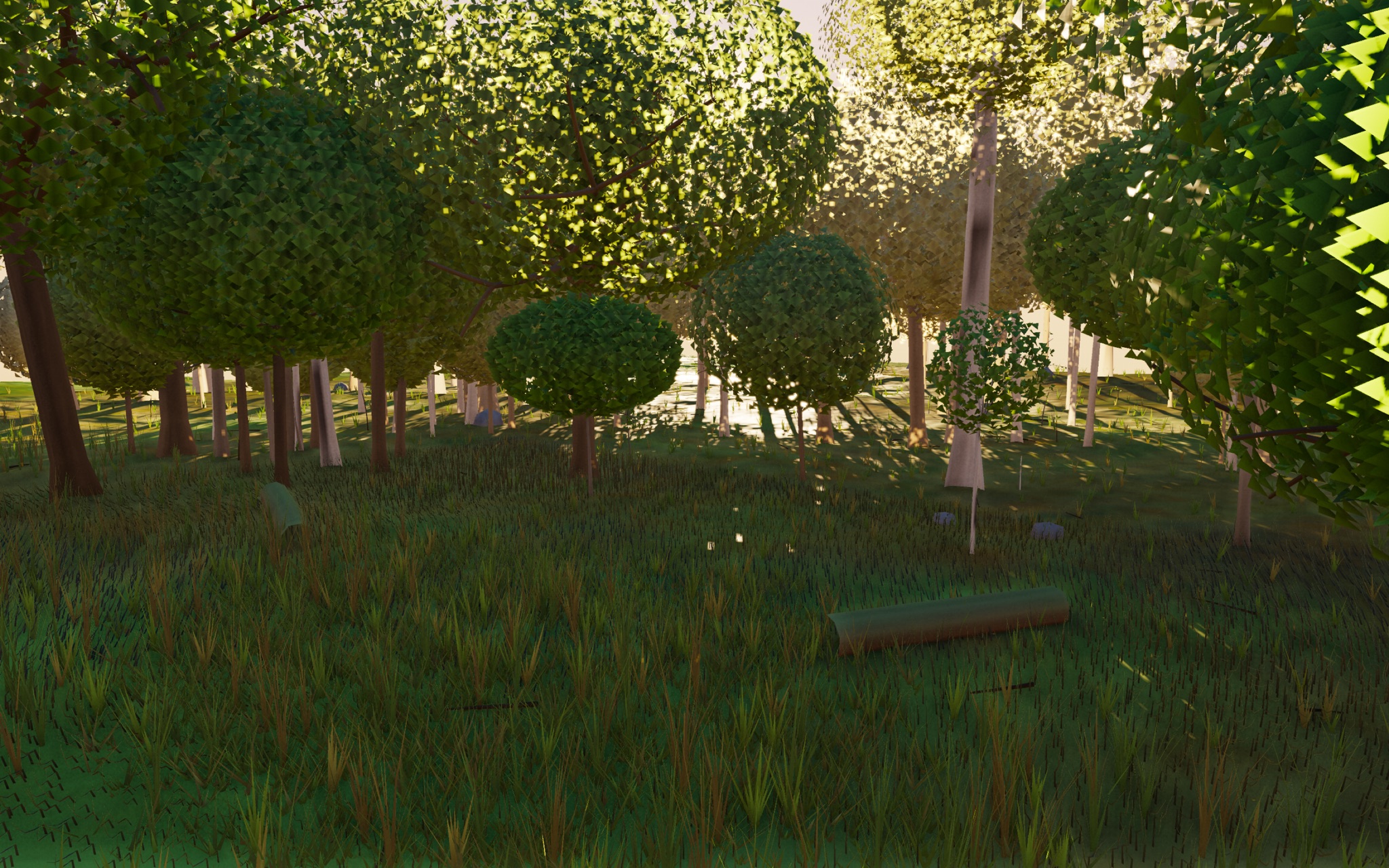 Visualizer · forest-low