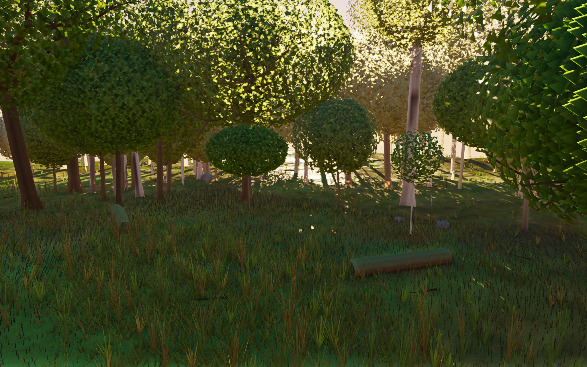 Visualizer · forest-low