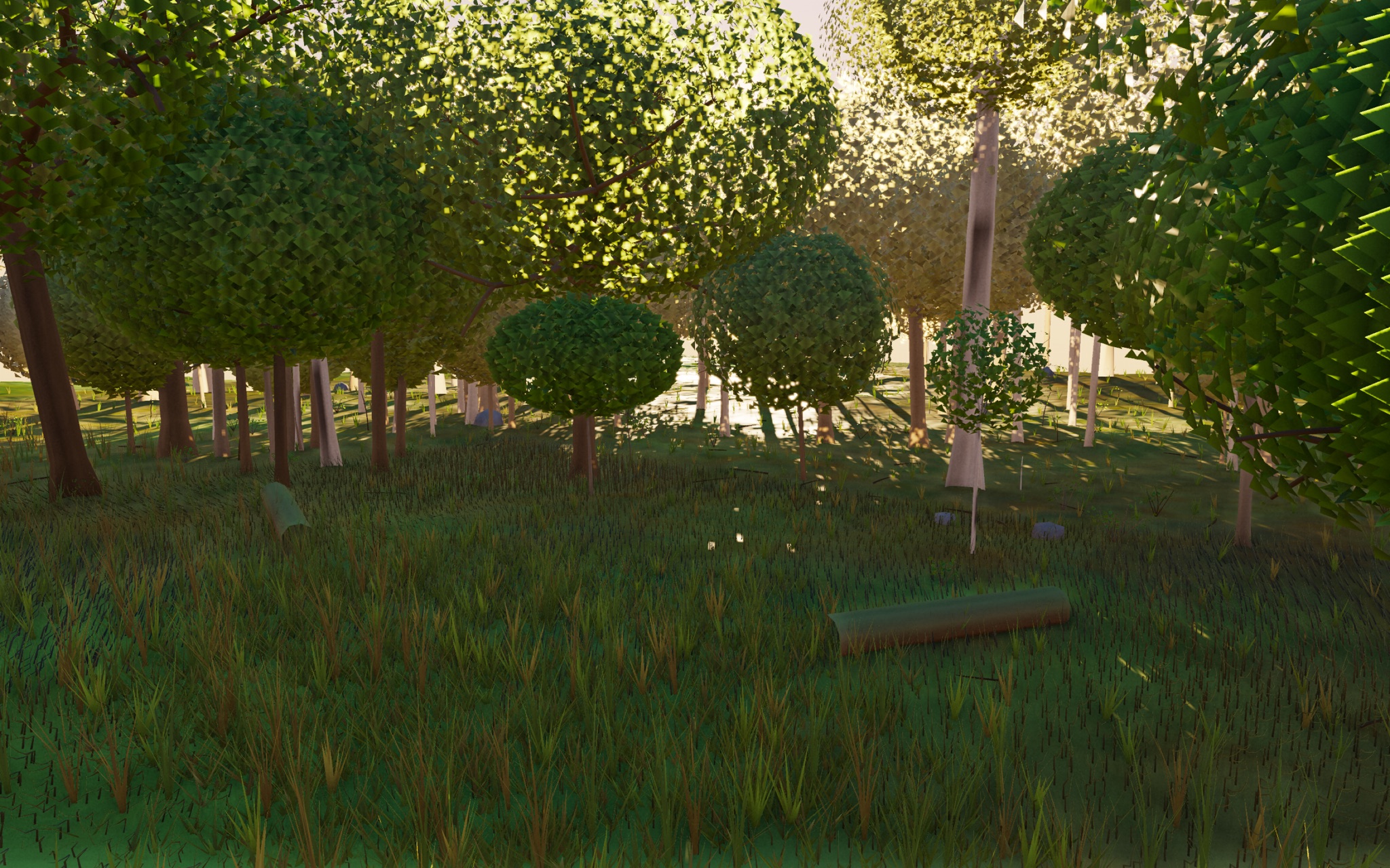 Visualizer · forest-low