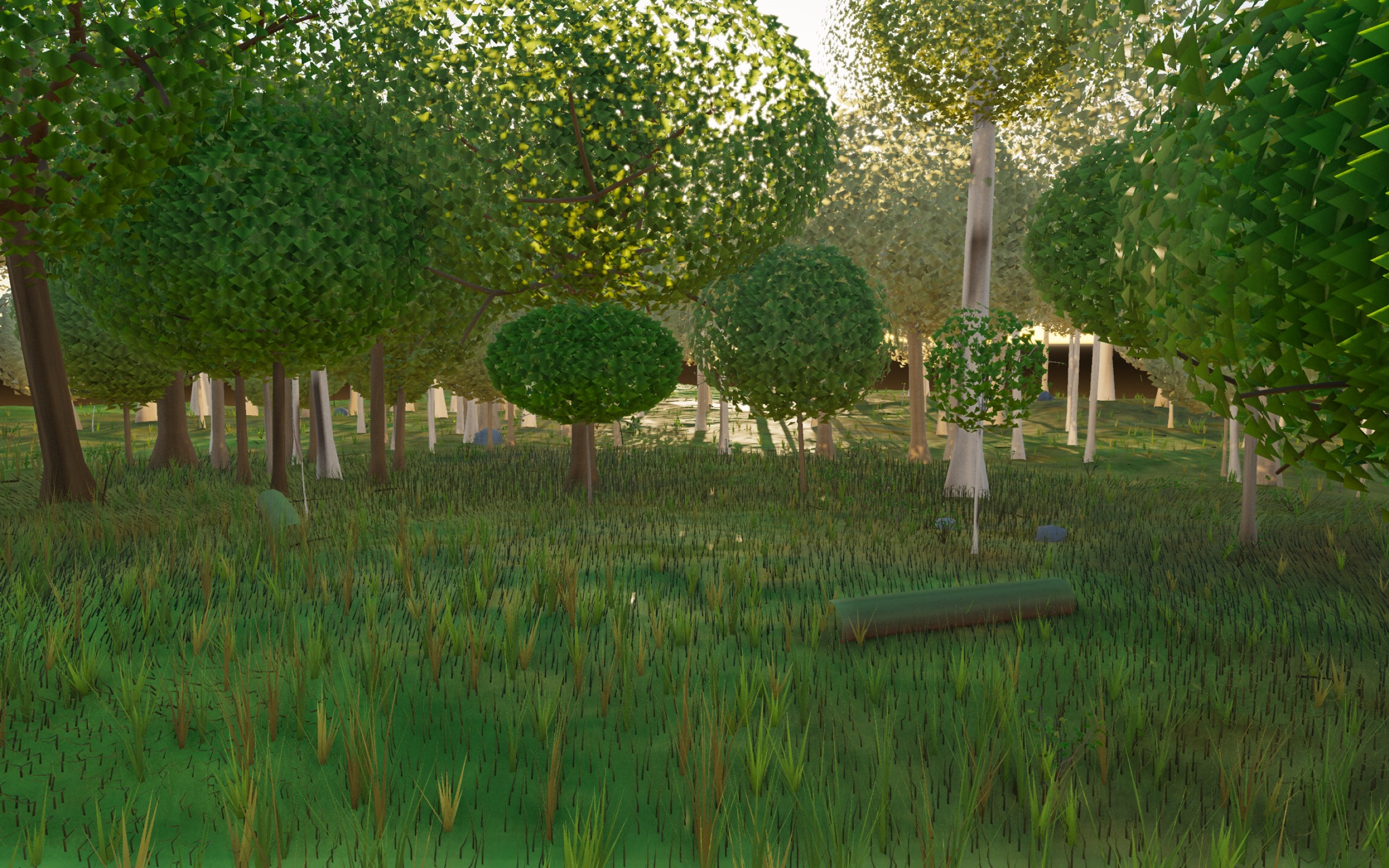 Visualizer · forest-low
