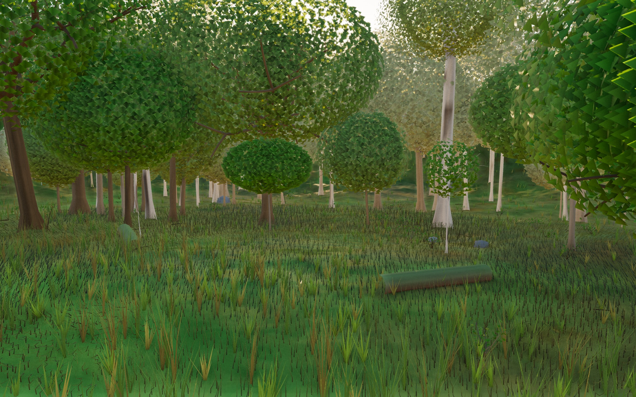 Visualizer · forest-low
