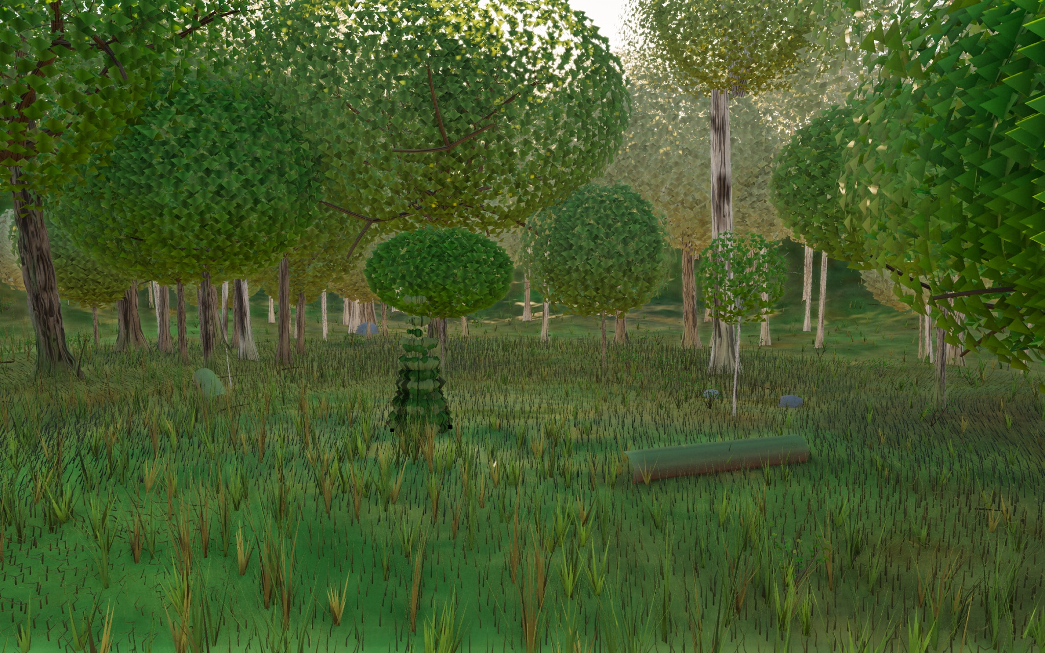 Visualizer · forest-low — round1c: moss albedo wash + cushions shared field