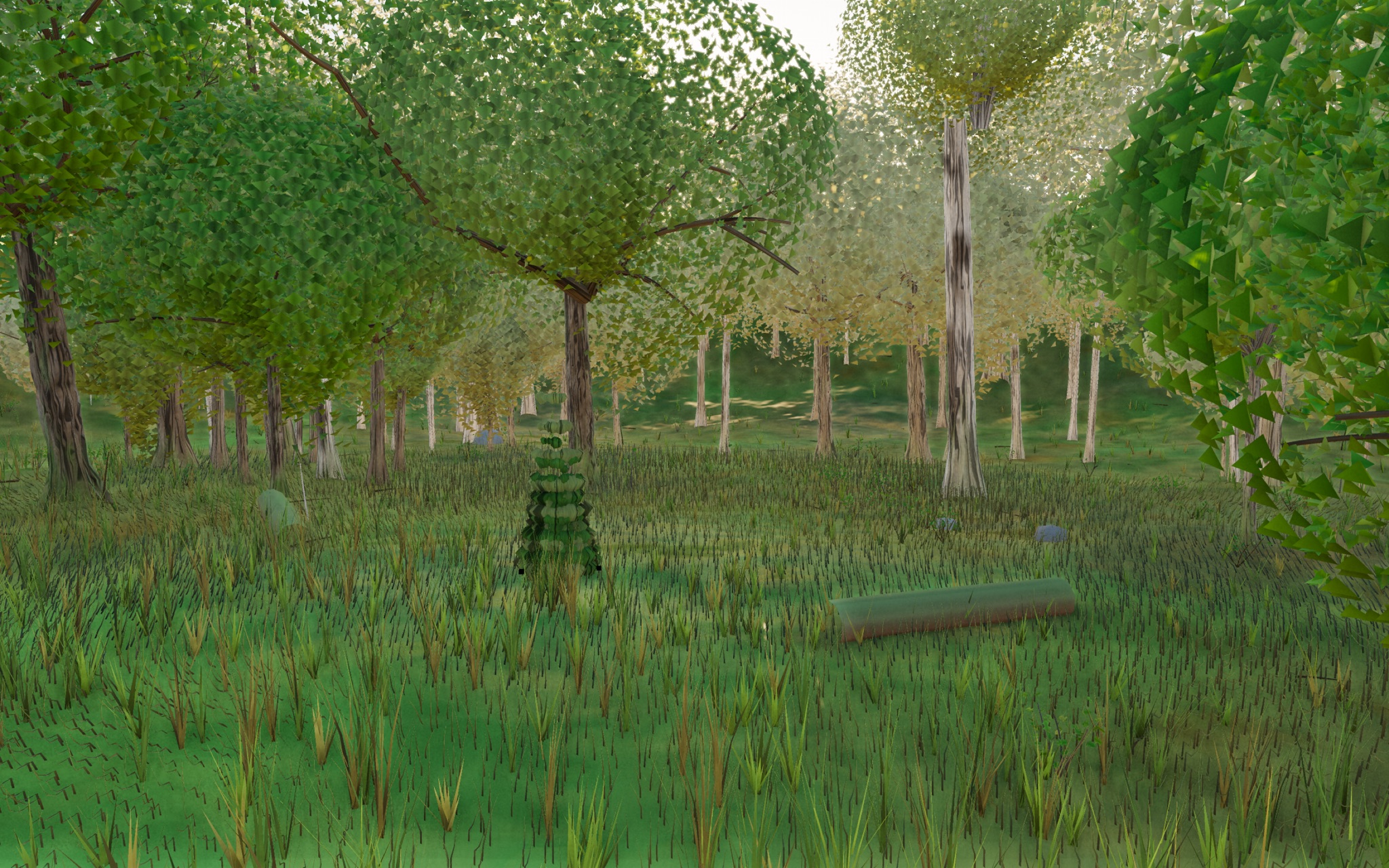 Visualizer · forest-low — dbg: list sites near center