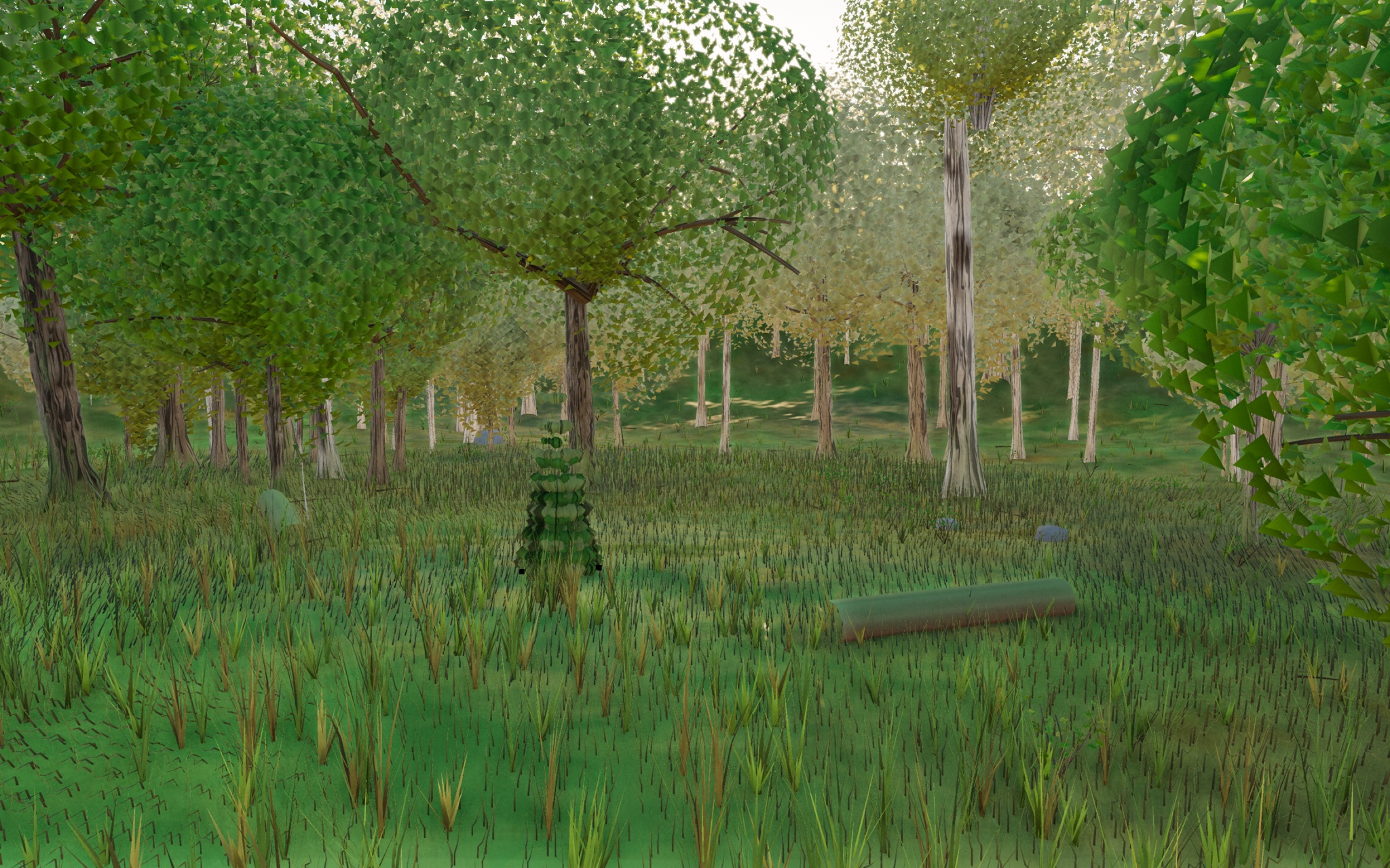 Visualizer · forest-low — dbg2