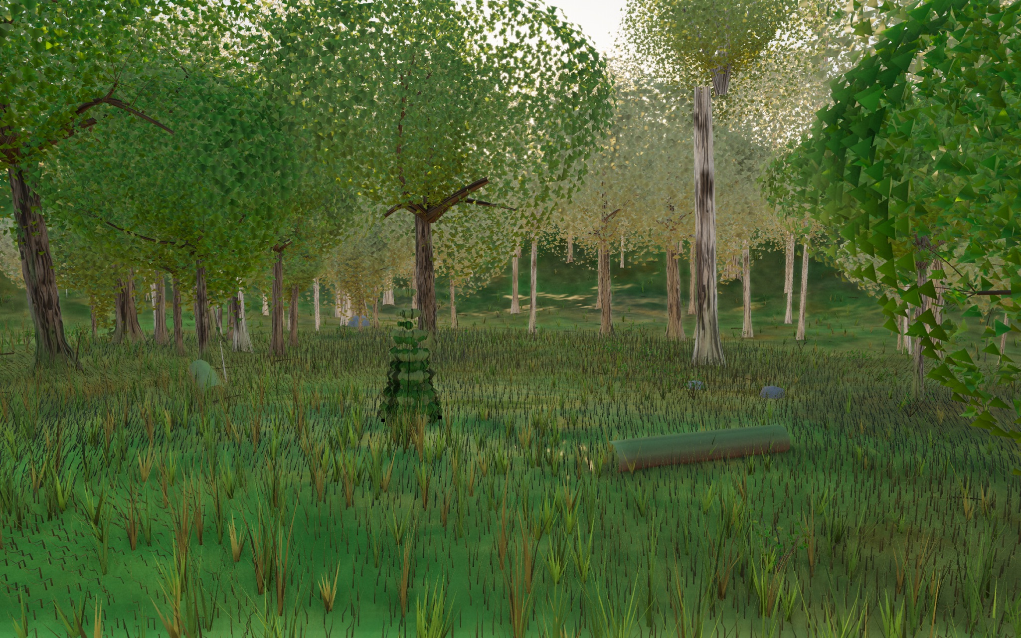 Visualizer · forest-low