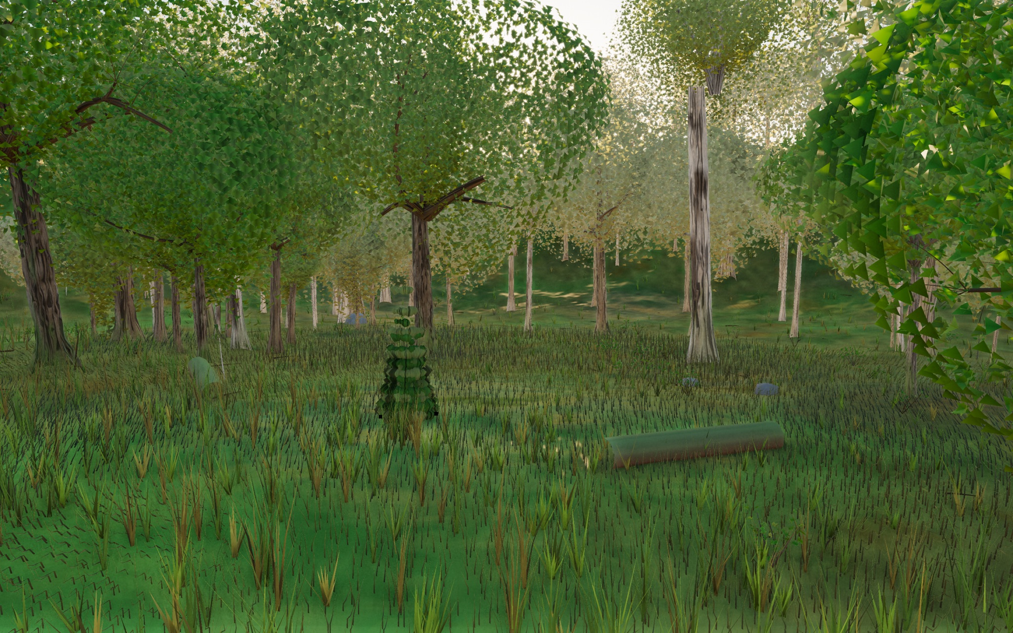 Visualizer · forest-low