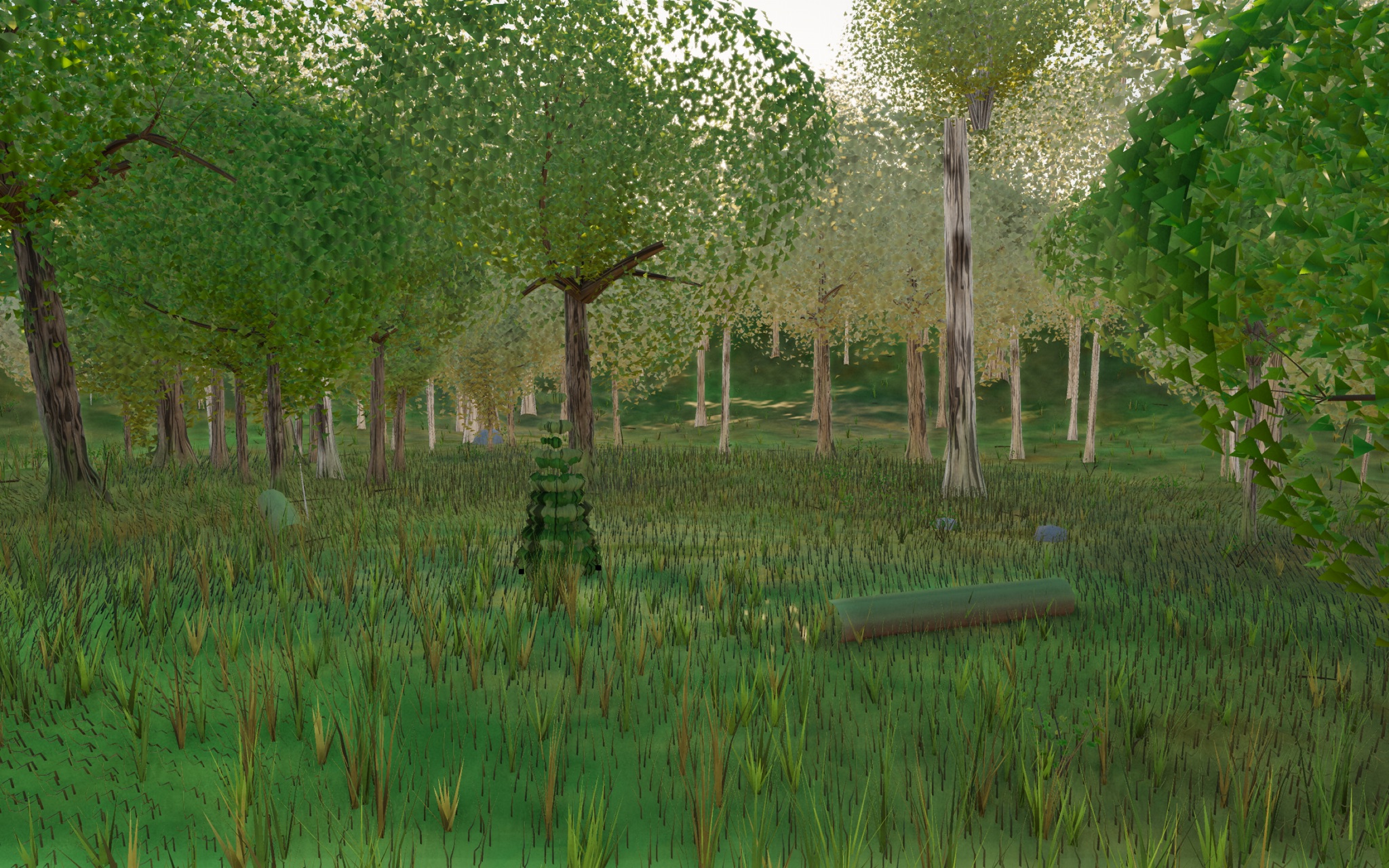 Visualizer · forest-low