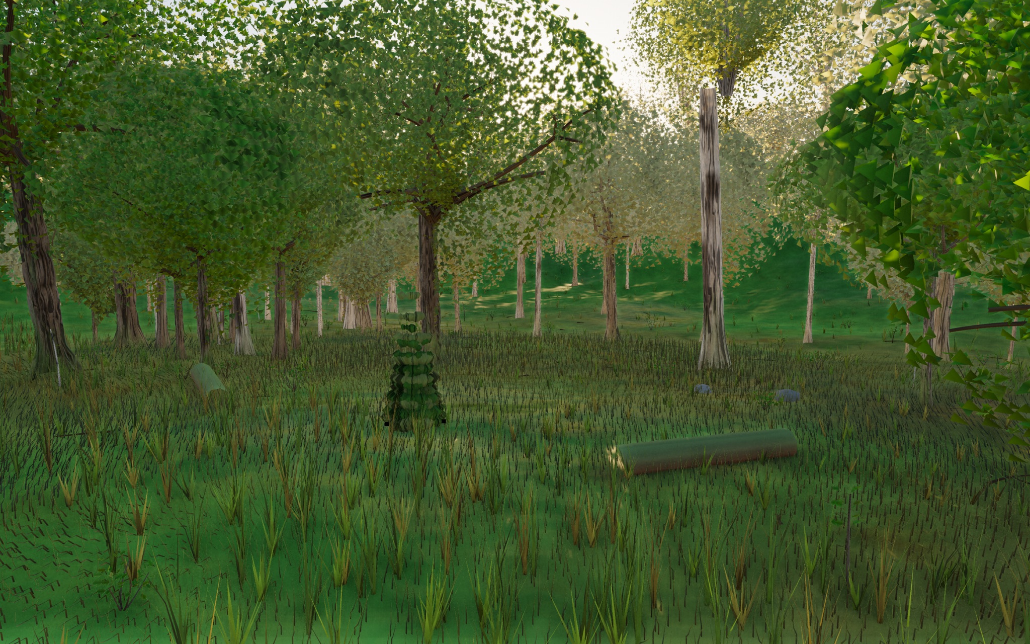 Visualizer · forest-low — round2: canonical lobe field + branch clamp coupling + rimFrac 0.30 + conifer culls + ground seam (already in tree)