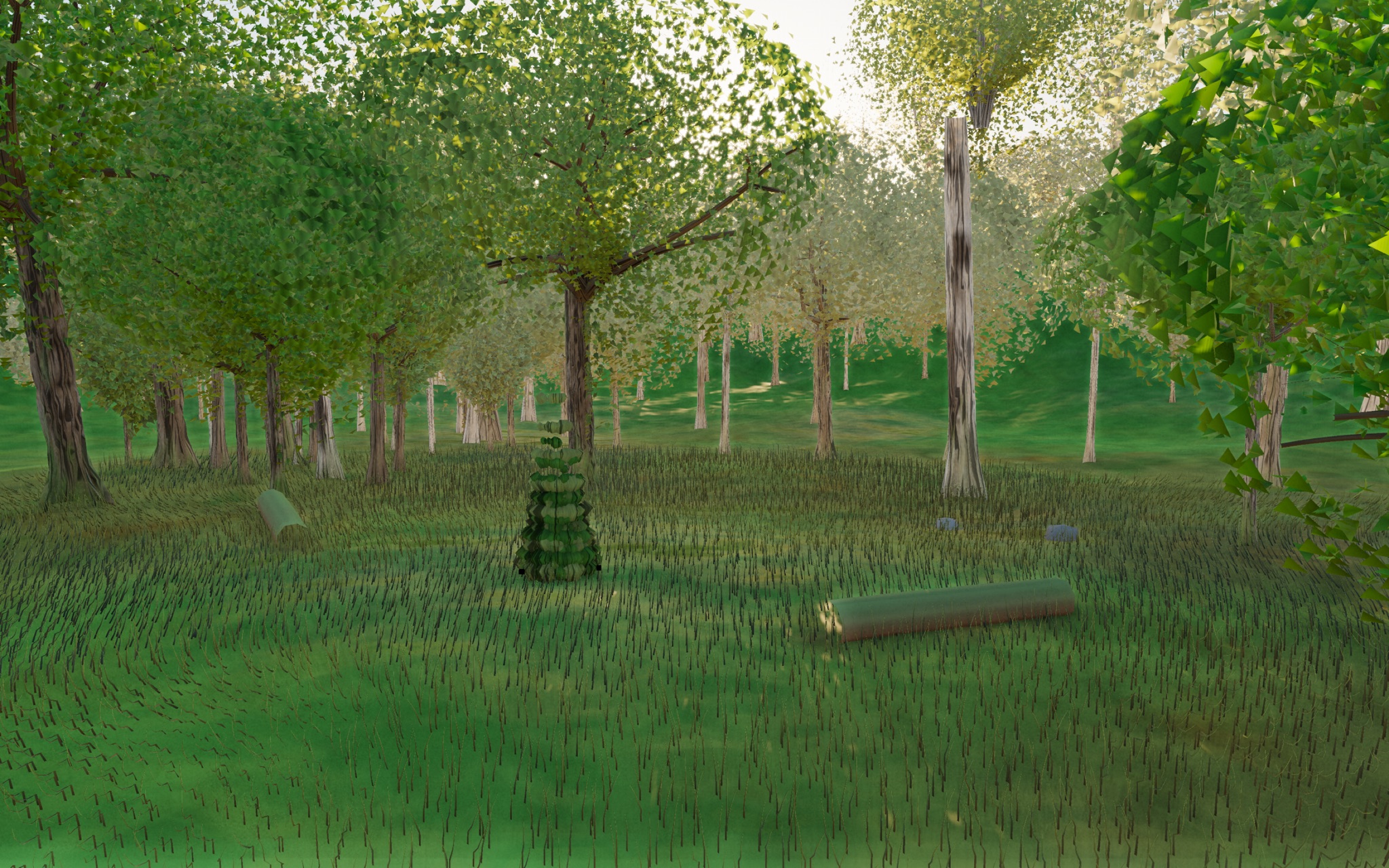 Visualizer · forest-low — debug: understory off