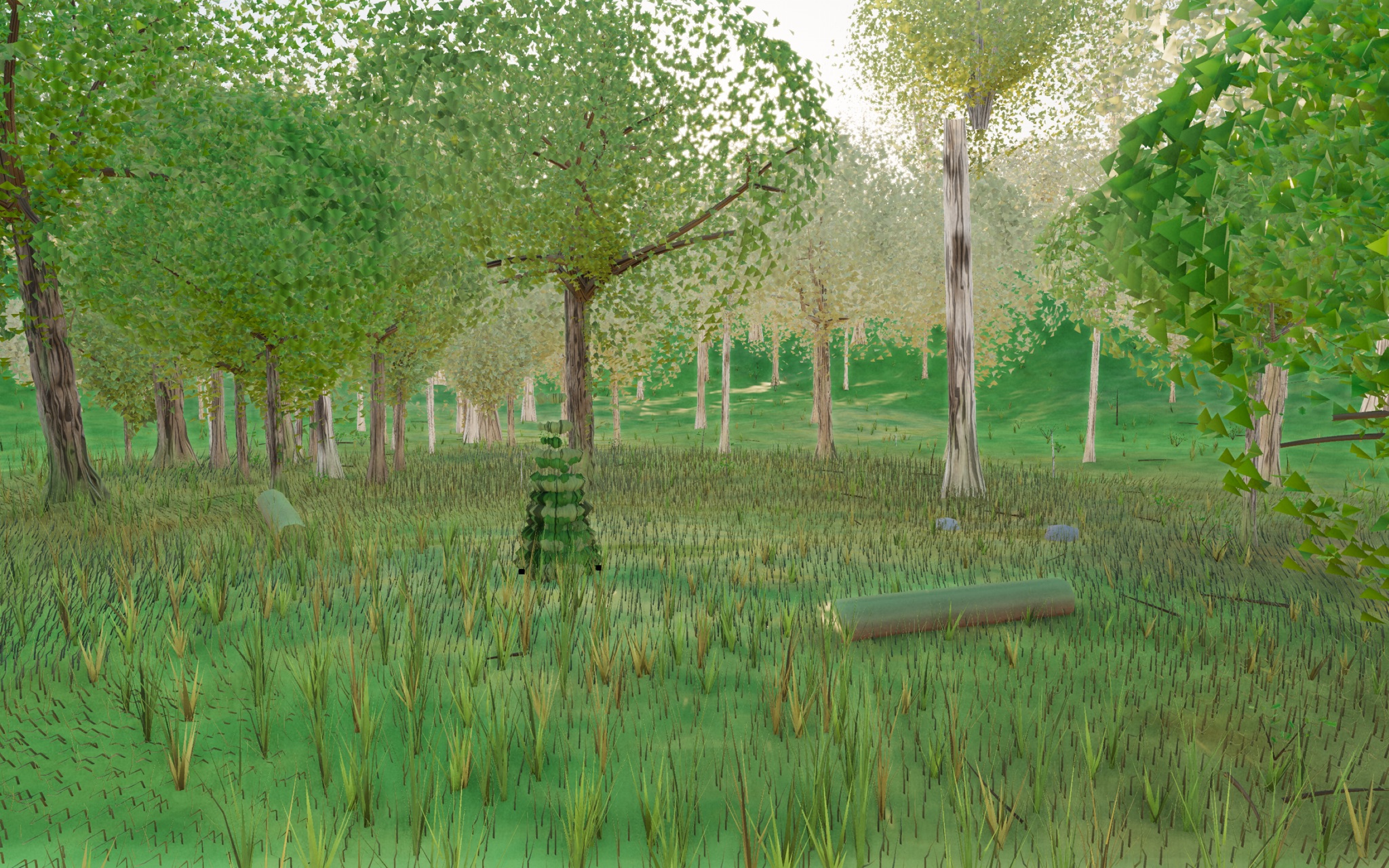 Visualizer · forest-low — verify fern/understory centre-exclusion took effect (cone check)
