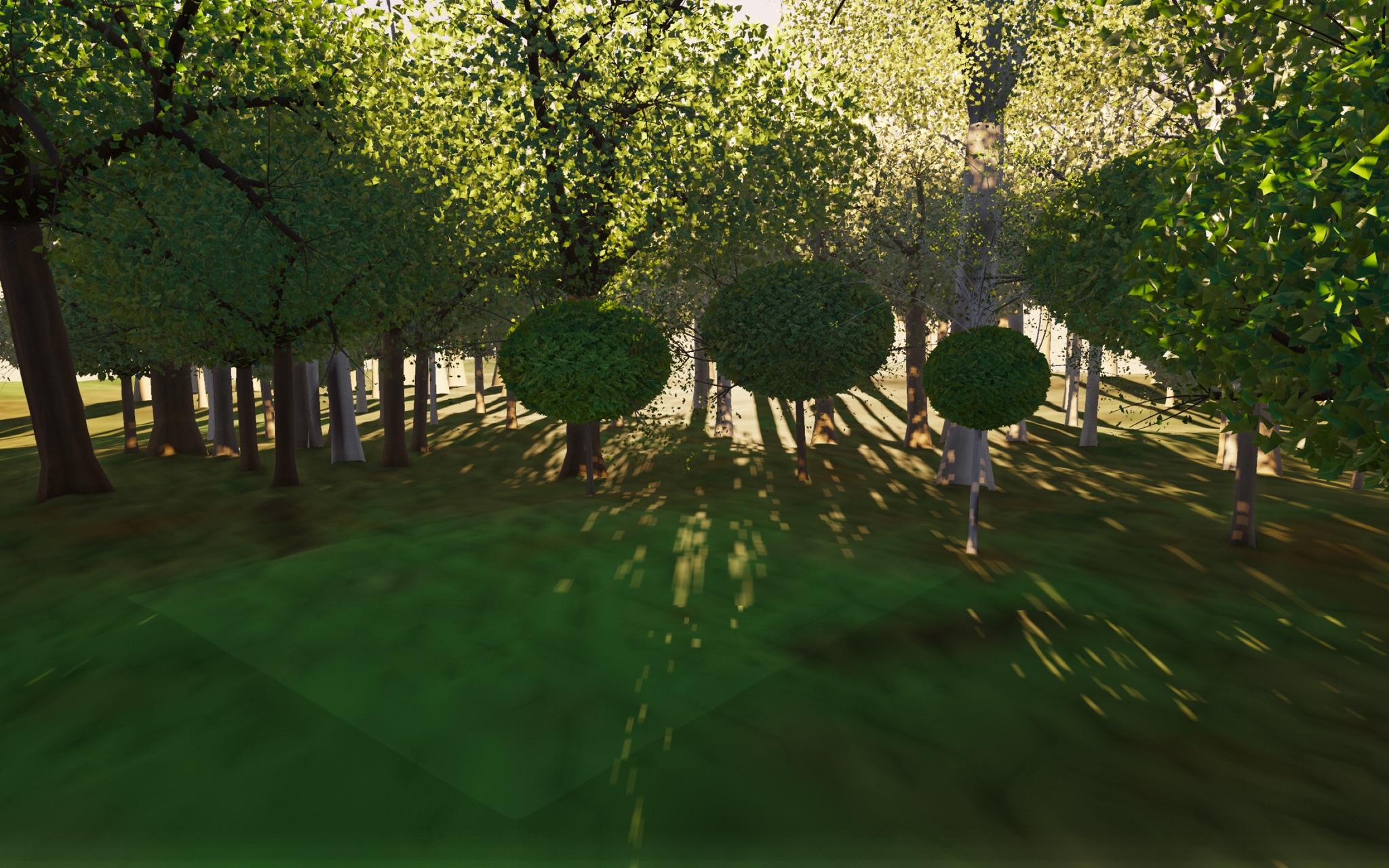 Visualizer · forest-low