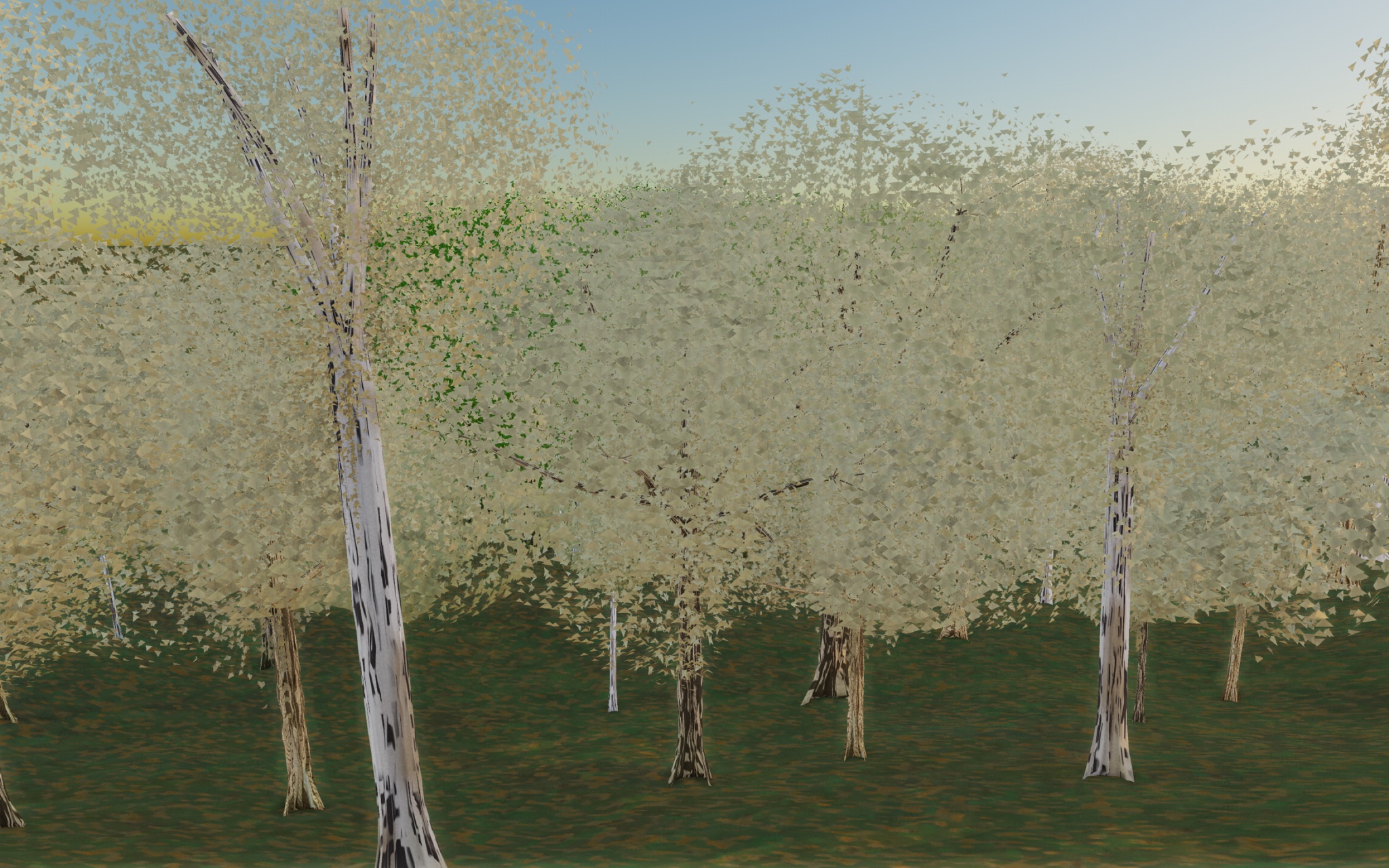 Visualizer · forest-side