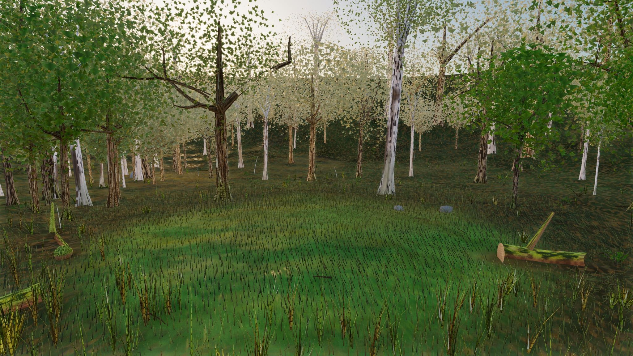 Visualizer · forest