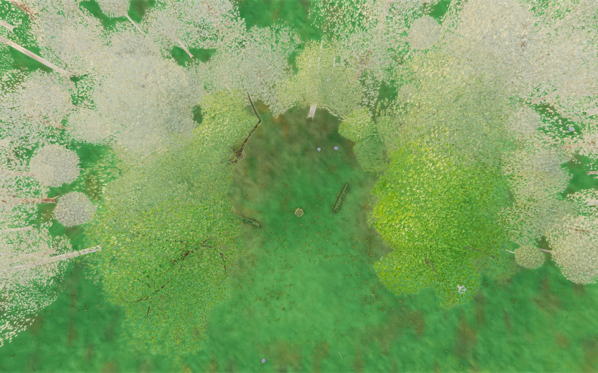 Visualizer · forest-top — round3c: central-sightline h