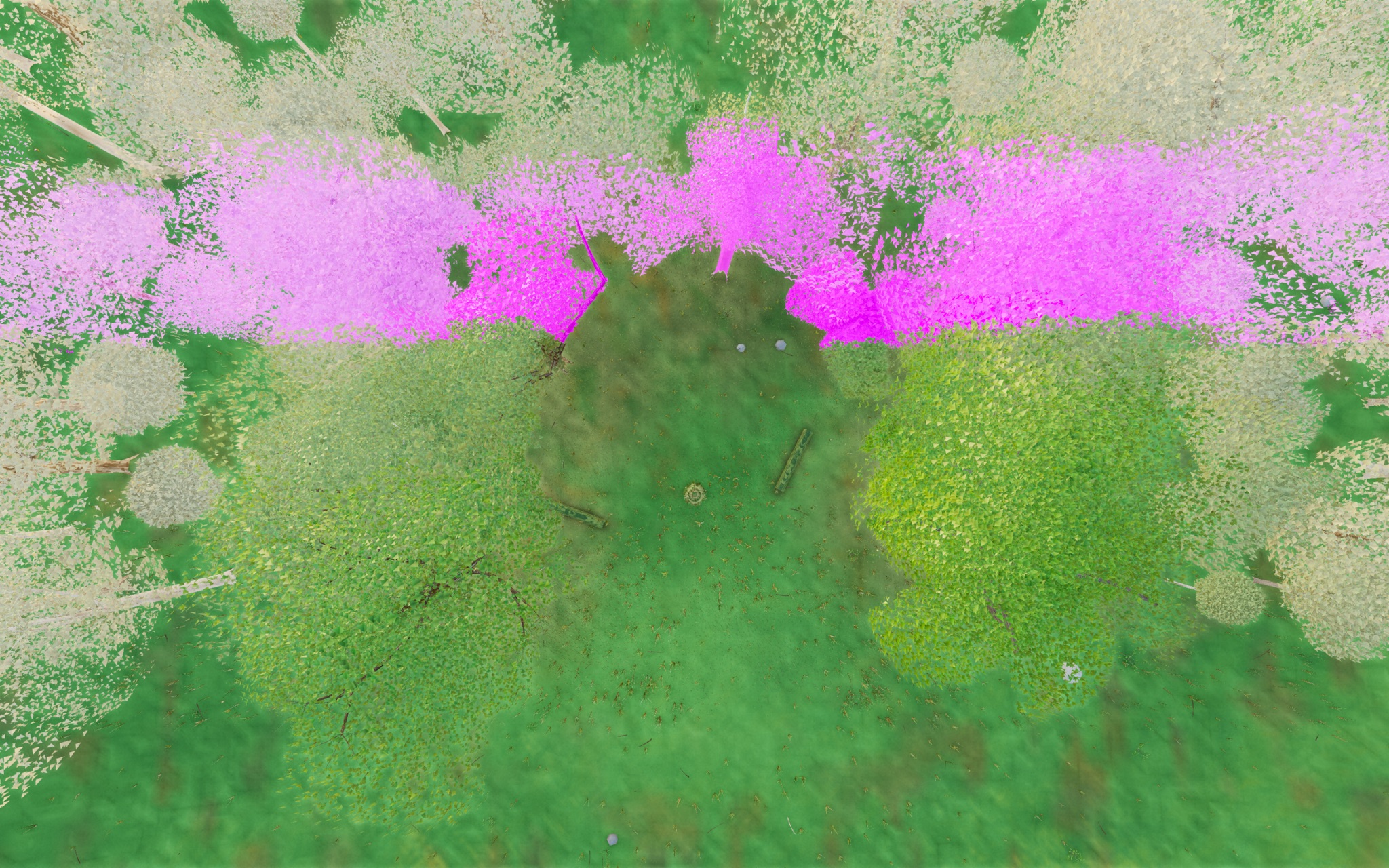 Visualizer · forest-top — diag4: paint z in (-16,-8) magenta
