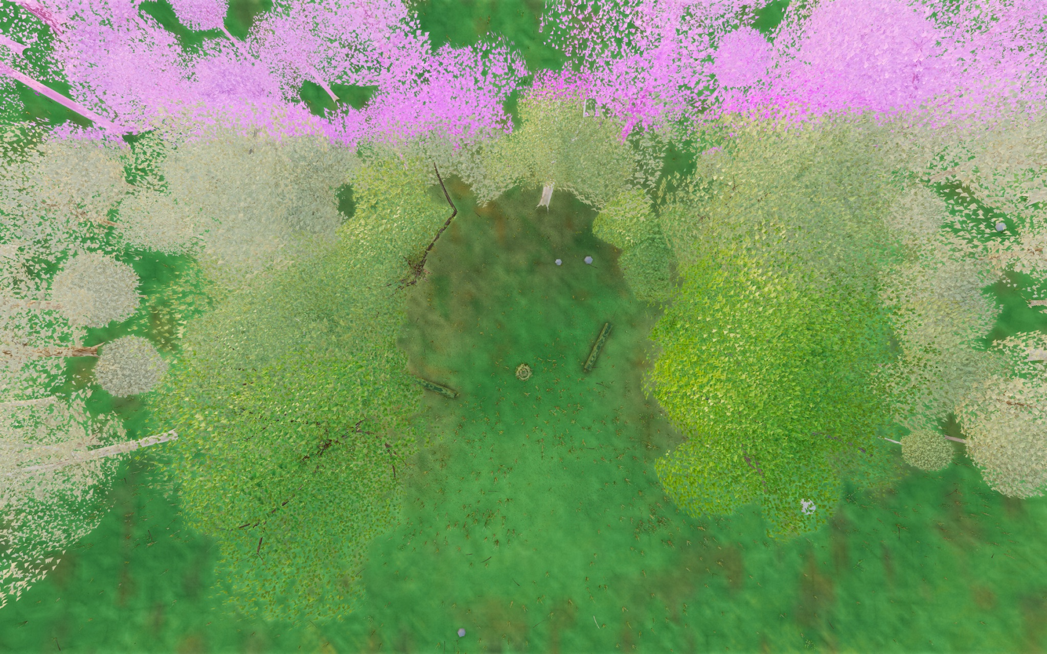 Visualizer · forest-top — diag5: paint z in (-26,-16)