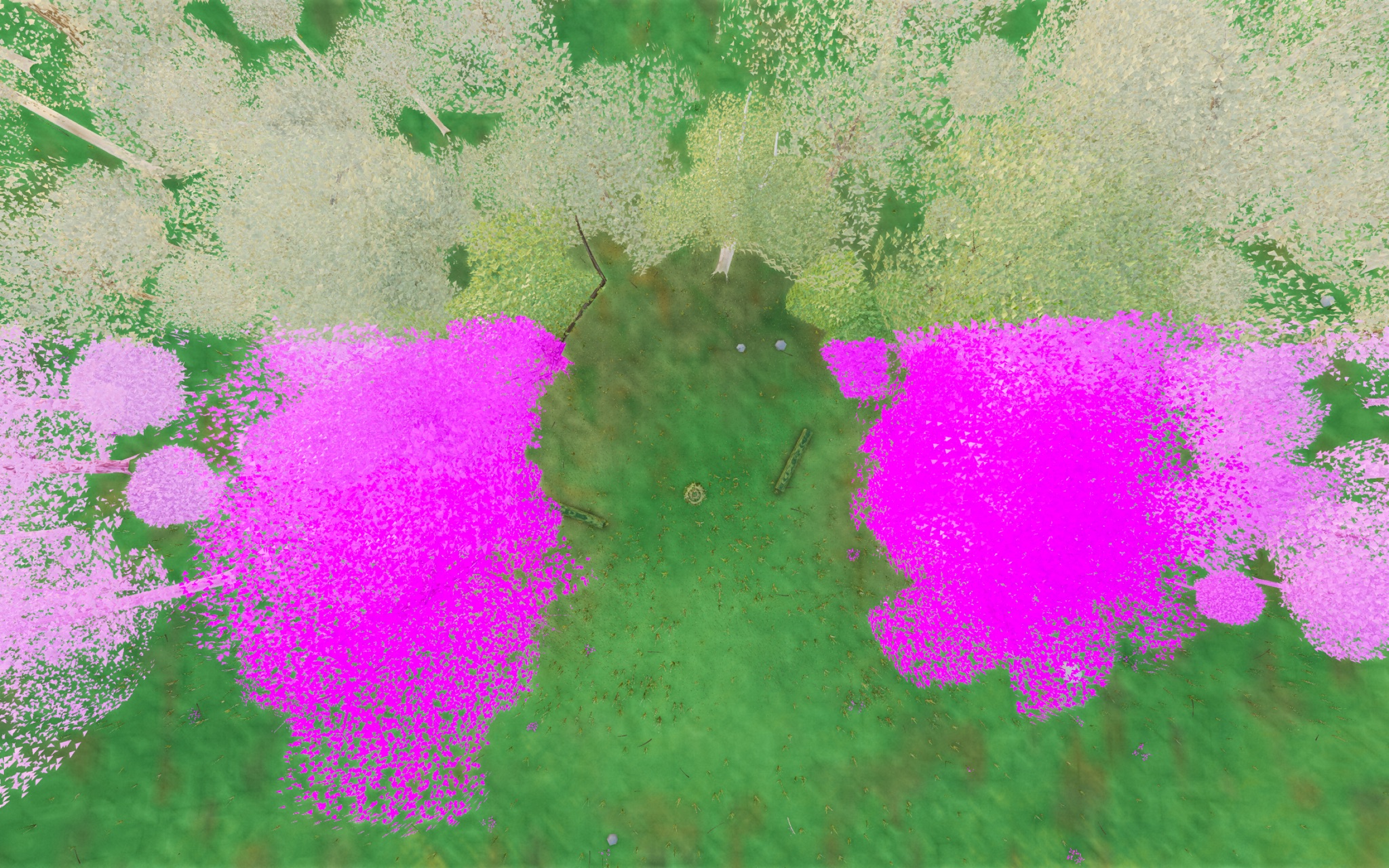 Visualizer · forest-top — diag6: paint ALL z>-8 tree mass