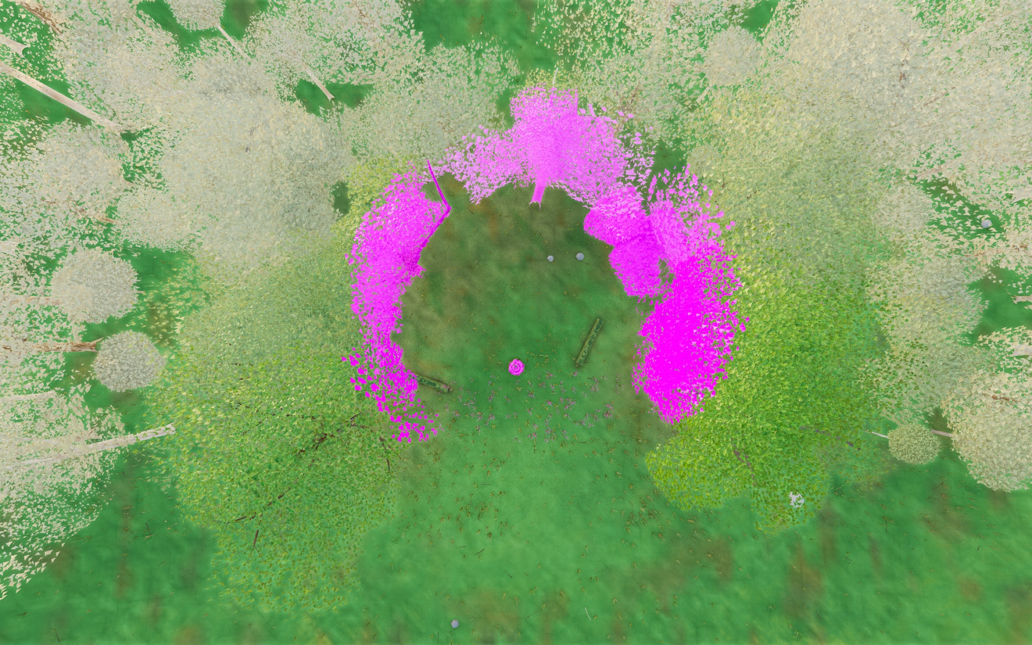 Visualizer · forest-top — diag9: paint all-class tall in near disc r11