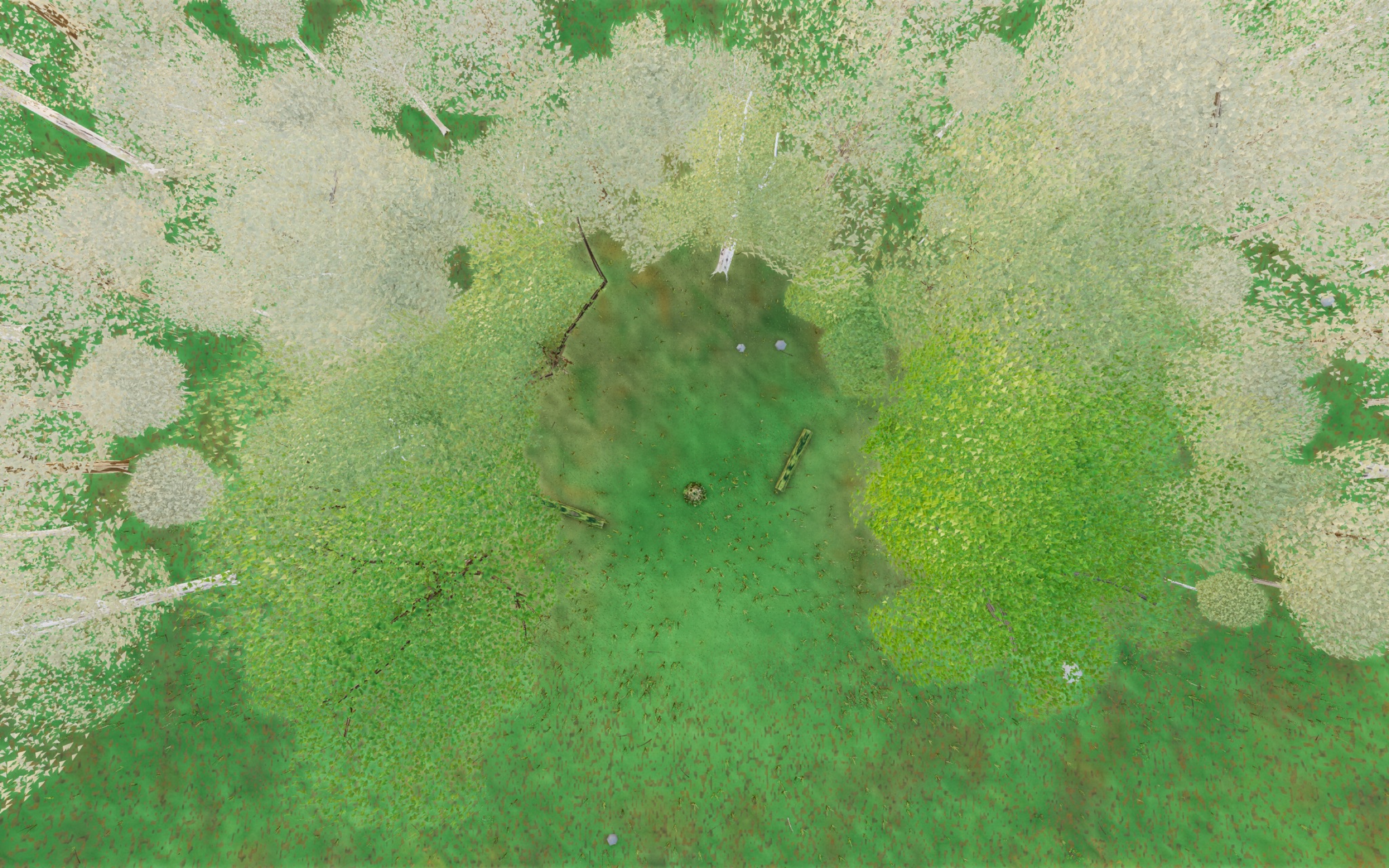 Visualizer · forest-top — r3 tex v3: exposure split – sun 1.62->1.42 (curb front bleach) + ambient +18% (lift backlit shade)