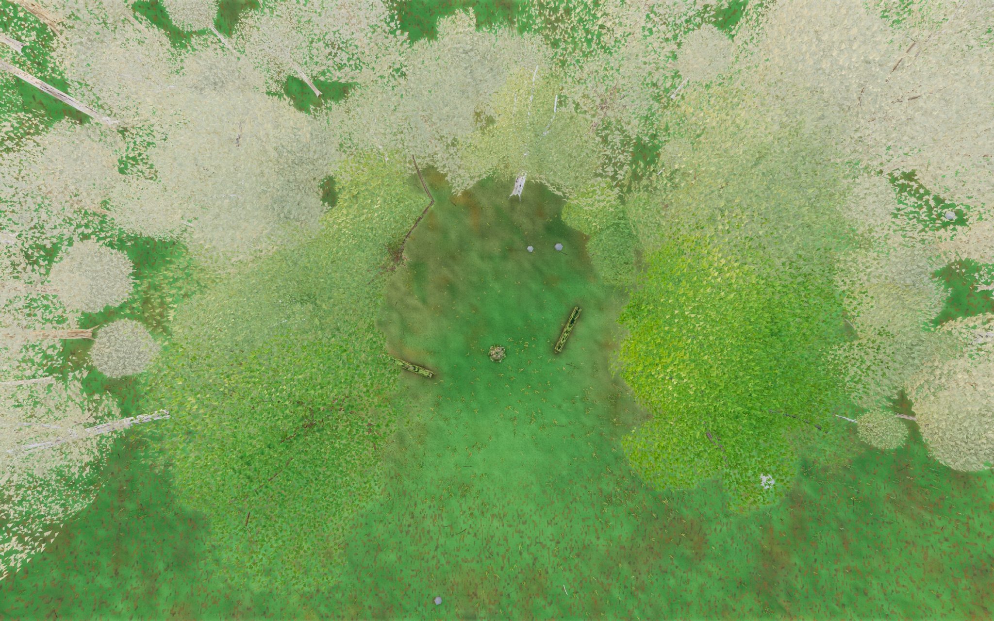 Visualizer · forest-top — round3: tier-promote camera-near trees (kill triangle lattice); oak Worley plate cells; log end-grain rings+rim+higher moss contrast; birch paper de-bloom; +0.43 stop tq fill; log-base grass cull + duff band