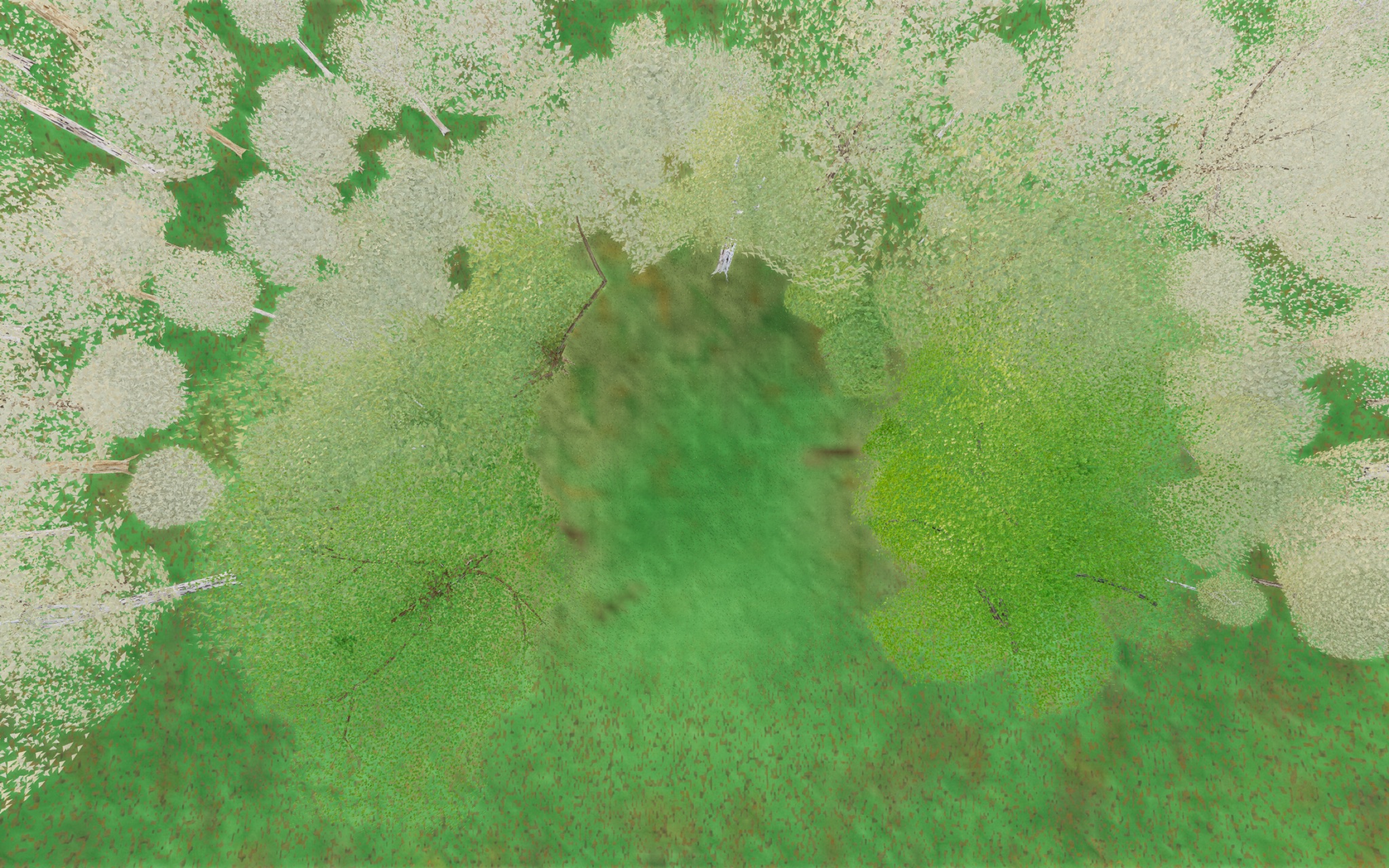 Visualizer · forest-top — round5b: widen log grass-clear, bump log radius 0.225