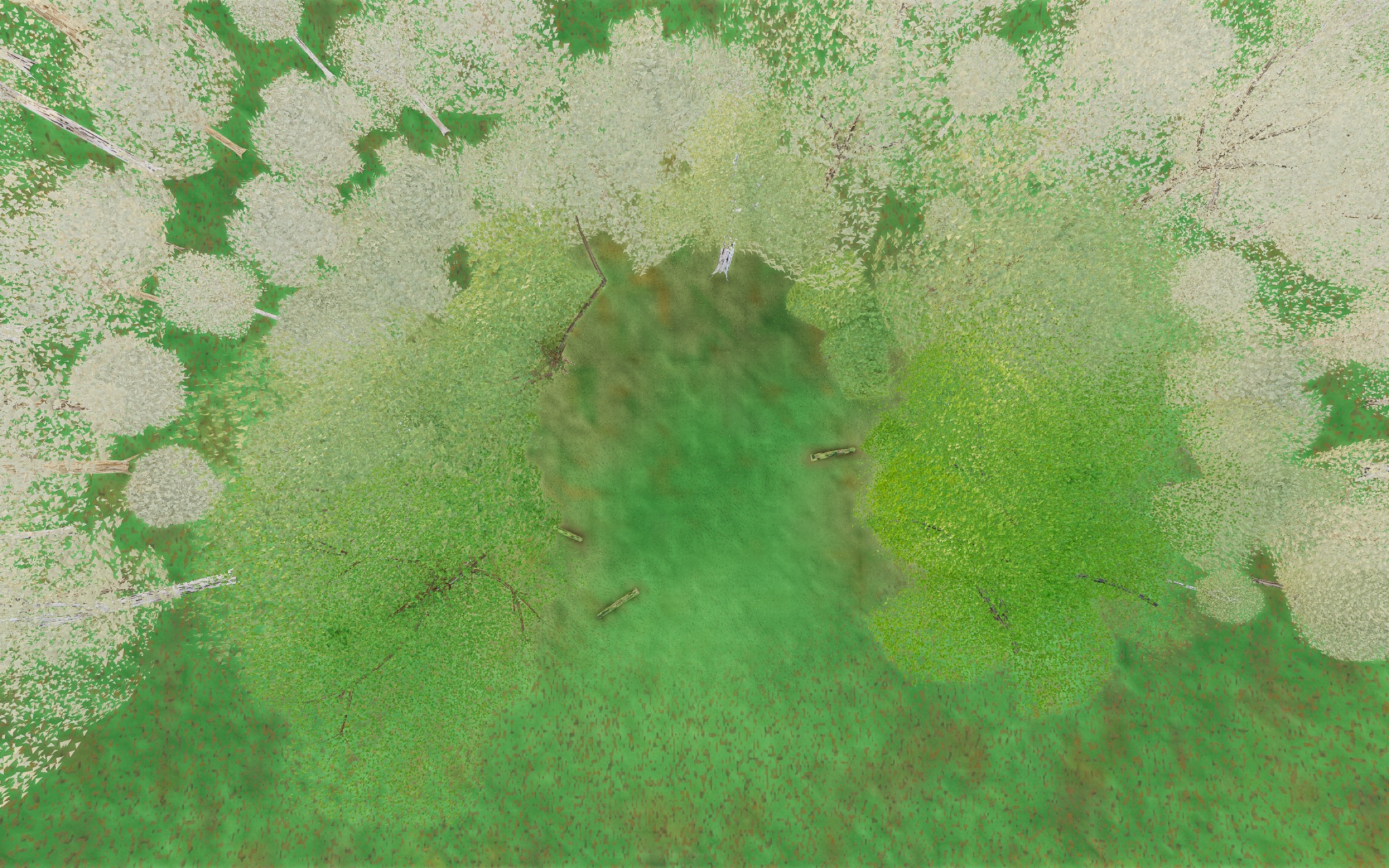 Visualizer · forest-top