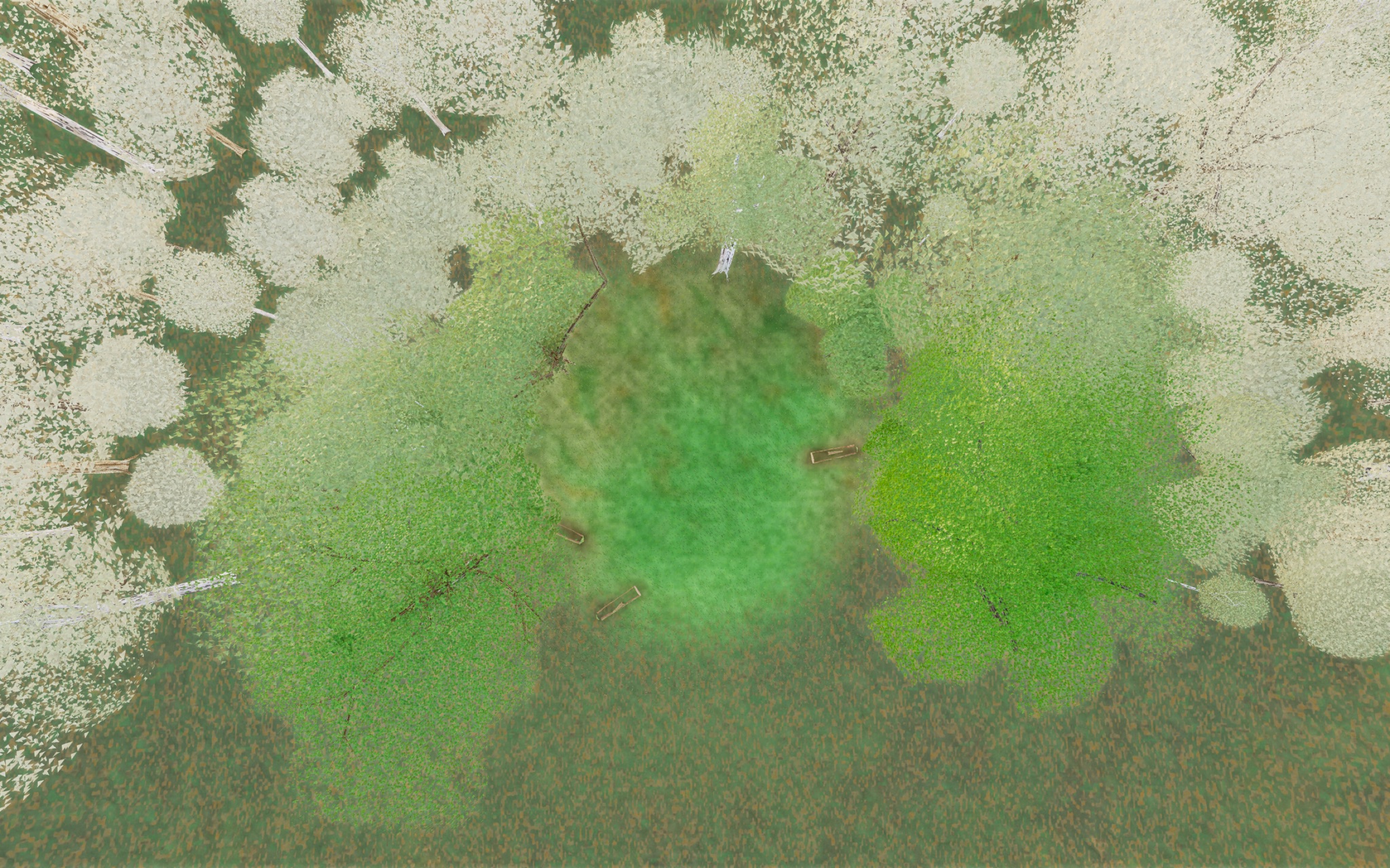 Visualizer · forest-top