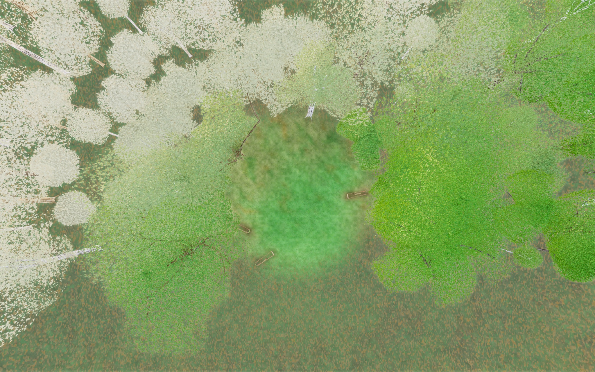 Visualizer · forest-top